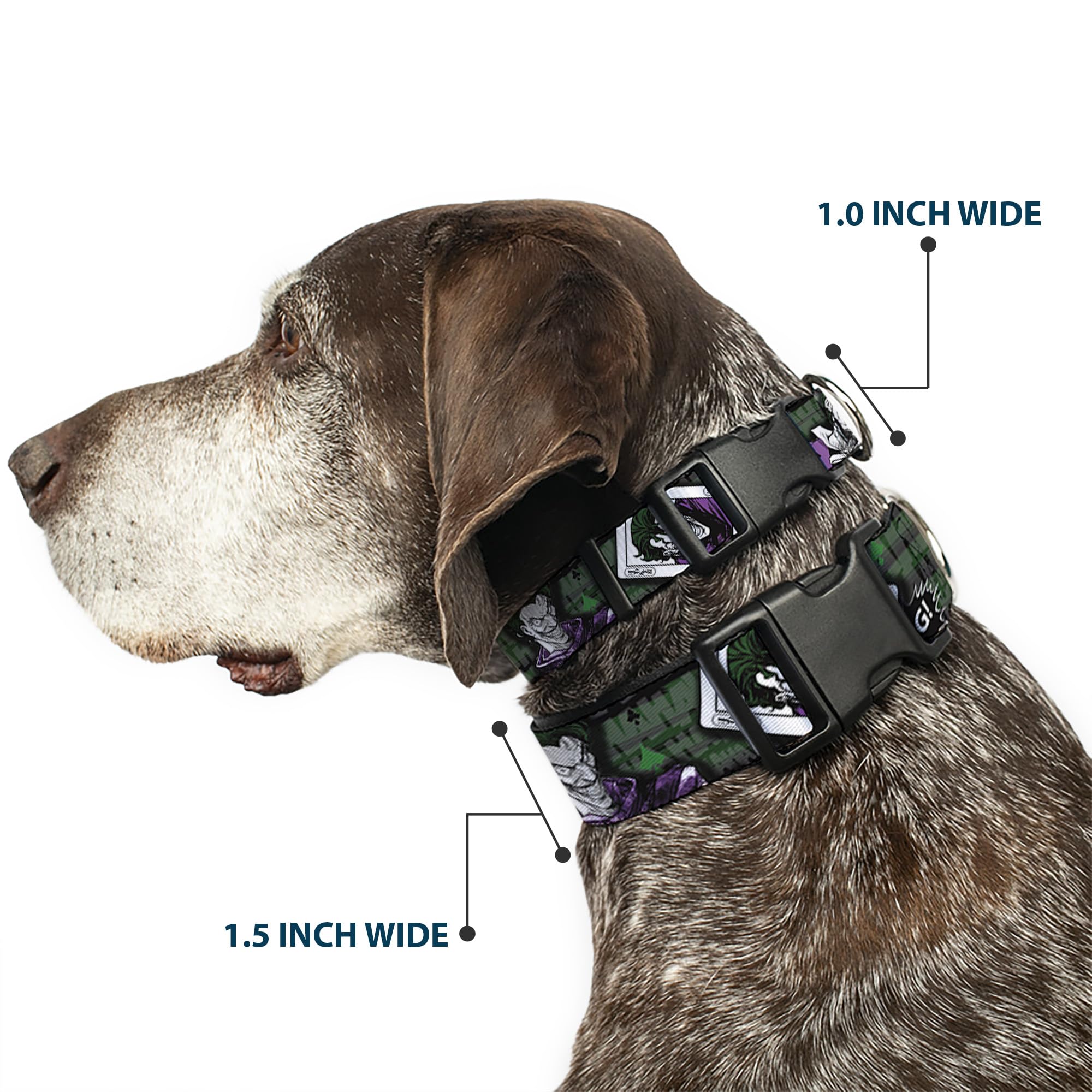 Buckle-Down Adjustable Dog Collar with Joker Card Design - 4 Fun Poses (Haha, Smile, Bang) in Gray, Green & Purple - 6 to 9 Inches Length, 0.5 Inch Width - Perfect for Halloween Costumes, Comic Con Events & Themed Pet Parties