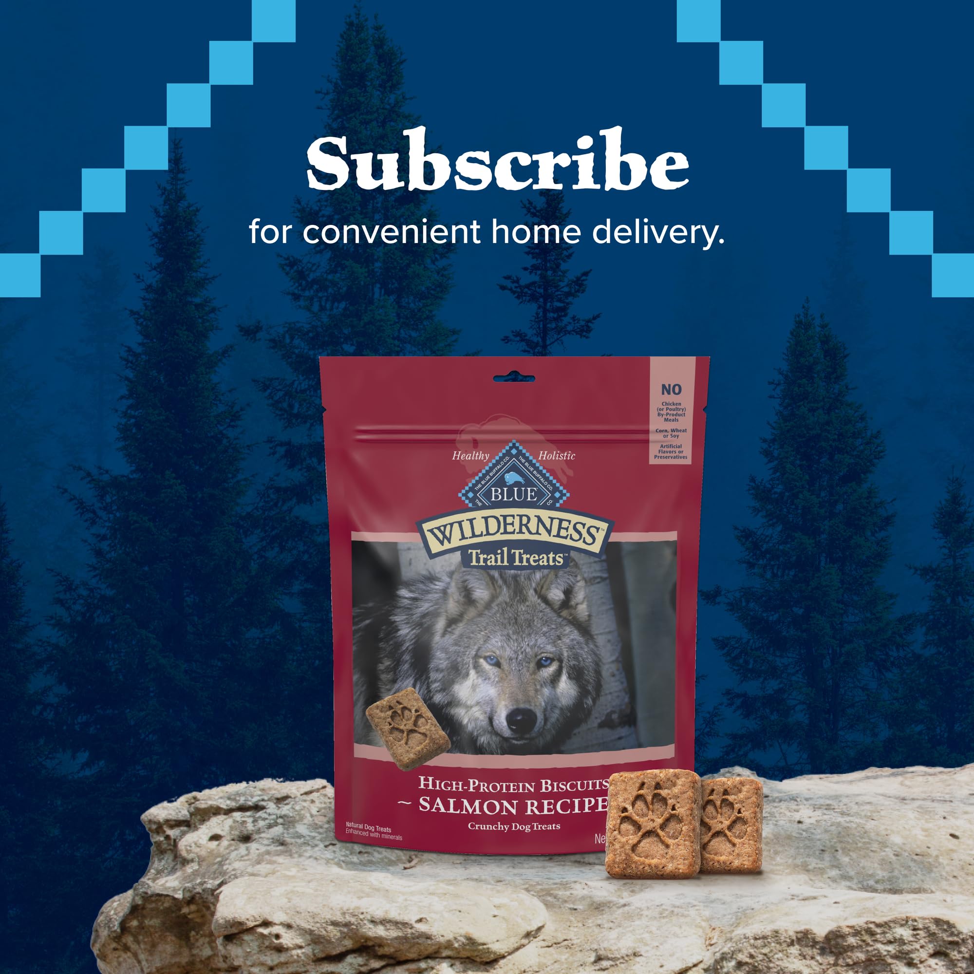 Blue Buffalo Wilderness Trail Treats Crunchy Grain-Free Dog Biscuits - High Protein Natural Salmon Recipe Dog Treats (24oz Bag) - Perfect for Training, Rewards & Outdoor Adventures