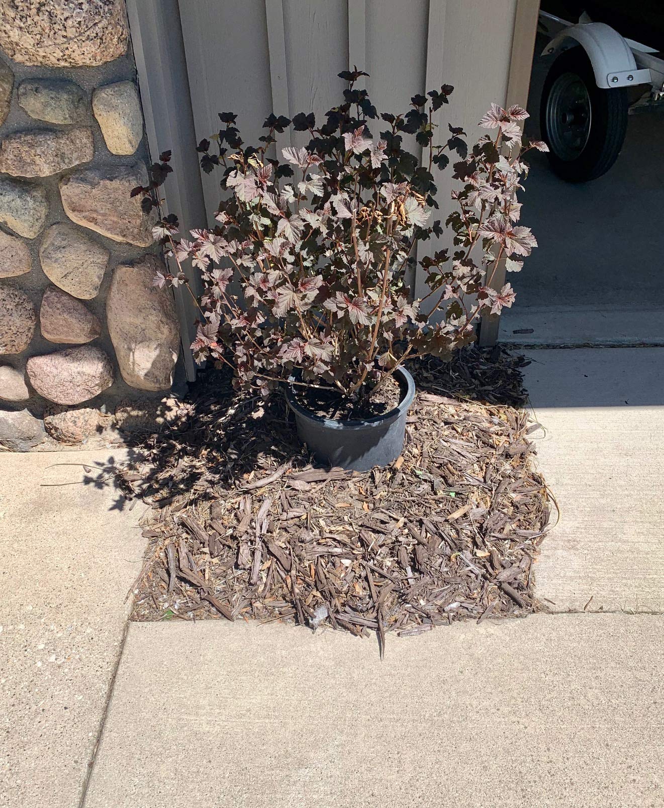 Professional Grade Metal Landscape Edging - 4 Inch High Lawn Border for Garden, Mulch & Flower Beds - Easy to Install (3 Color Options) - Perfect for Yard Landscaping & Curb Appeal Enhancement