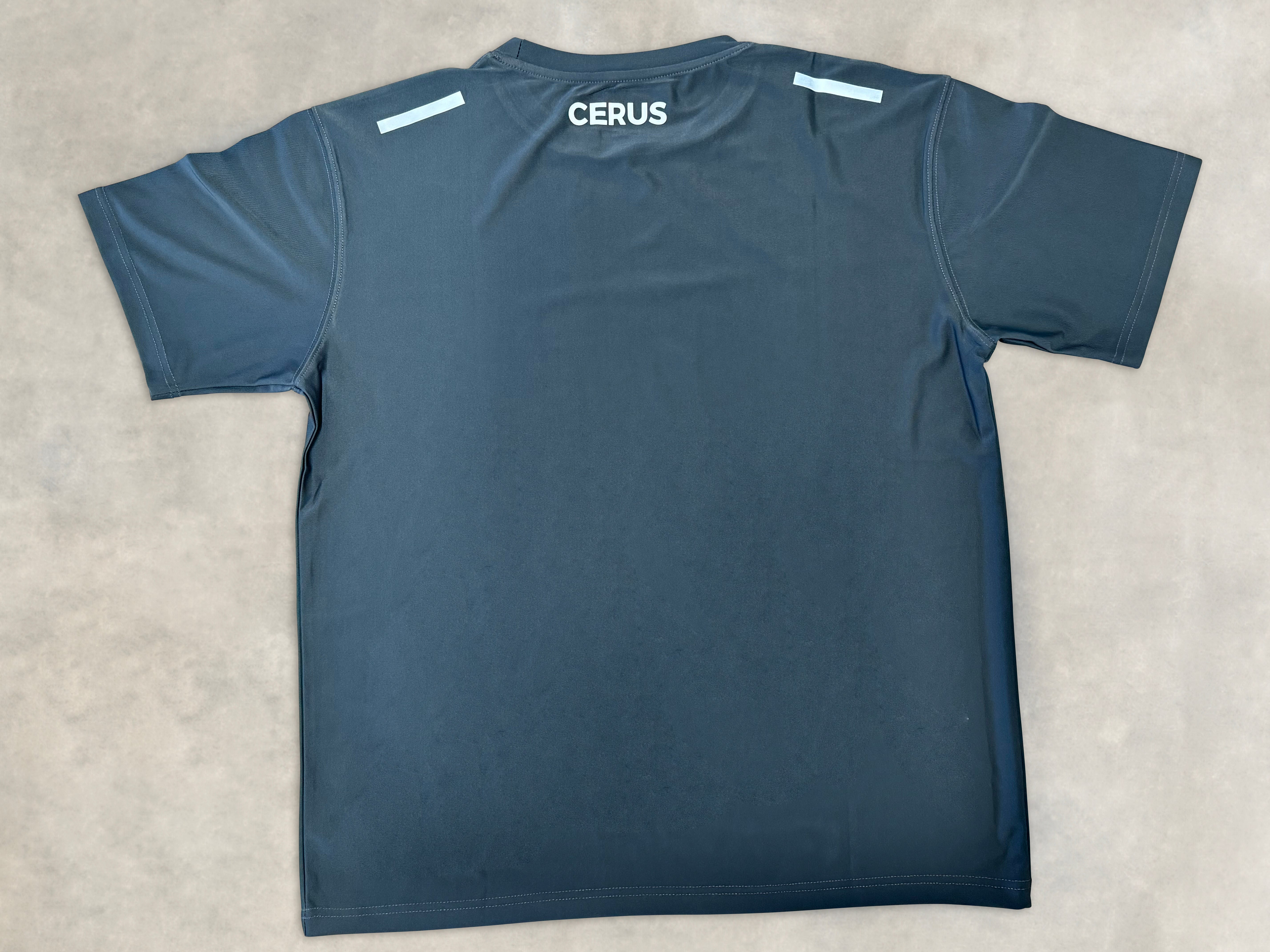 Cerus Grey Janus Men's T-Shirt - Premium Cotton Casual Tee for Everyday Wear | Gym, Workout, Street Style & Lounge Comfort