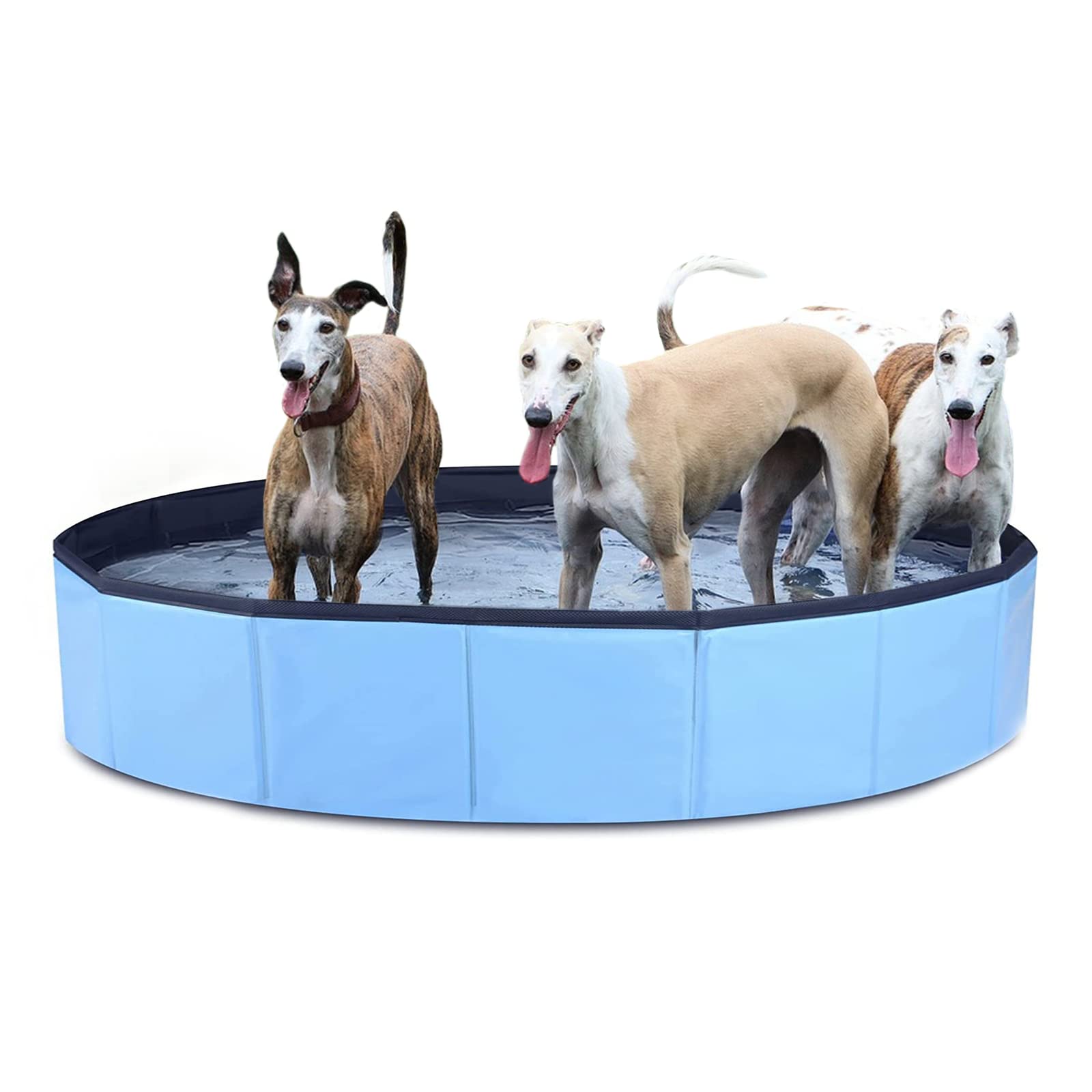Foldable Dog Pool for Large Dogs - XXL 63