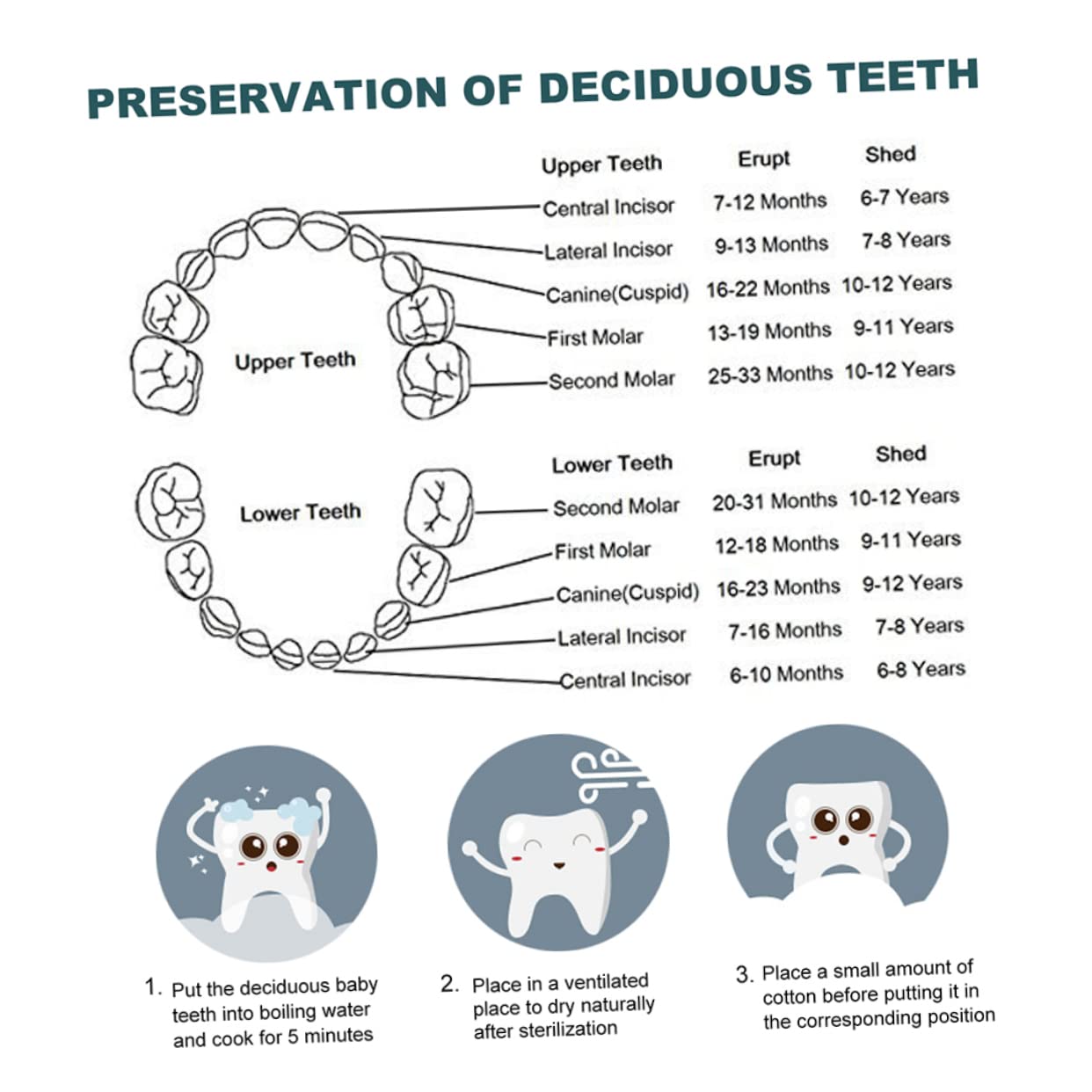 UPKOCH Tooth Fairy Box - Deciduous Teeth Keepsake Container for Lost Baby Teeth, First Tooth Memory Box with Pillow - Perfect for Kids' Milestone Gifts & Tooth Fairy Traditions (EVA Material)