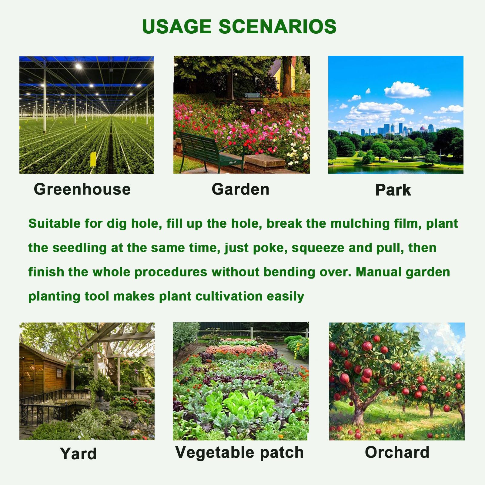 Stainless Steel Seedling Transplanting Bulb Planter Tool with Long Handle - Manual Vegetable & Young Plant Transplanter for Garden, Greenhouse - Perfect for Planting Flowers, Vegetables, and Seedlings in Raised Beds or Containers