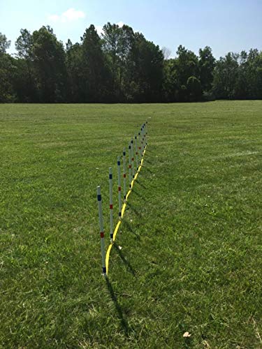 12-Piece Dog Agility Training Weave Pole Set - Professional Obstacle Course Equipment for Small & Large Dogs - Perfect for Backyard Training & Competition Practice