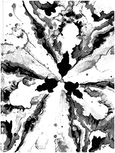 Monochrome Constellation