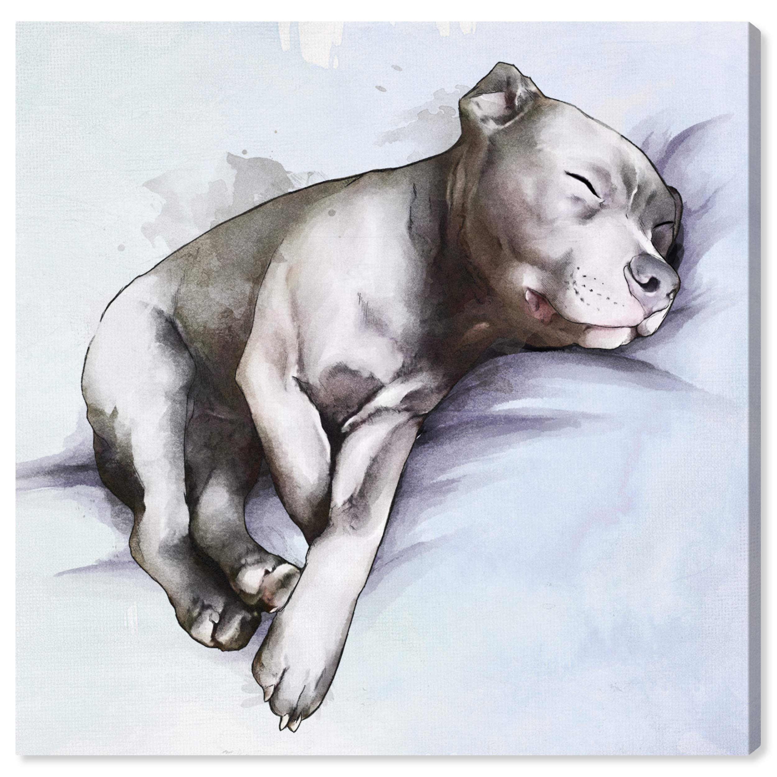 Sleeping Pitbull Wall Art Canvas Print - 30x30 Inches Gray & Blue Animal Home Decor by Oliver Gal Artist Co. - Perfect for Living Room, Bedroom & Office Decor