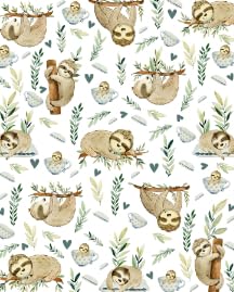Cute Sloth