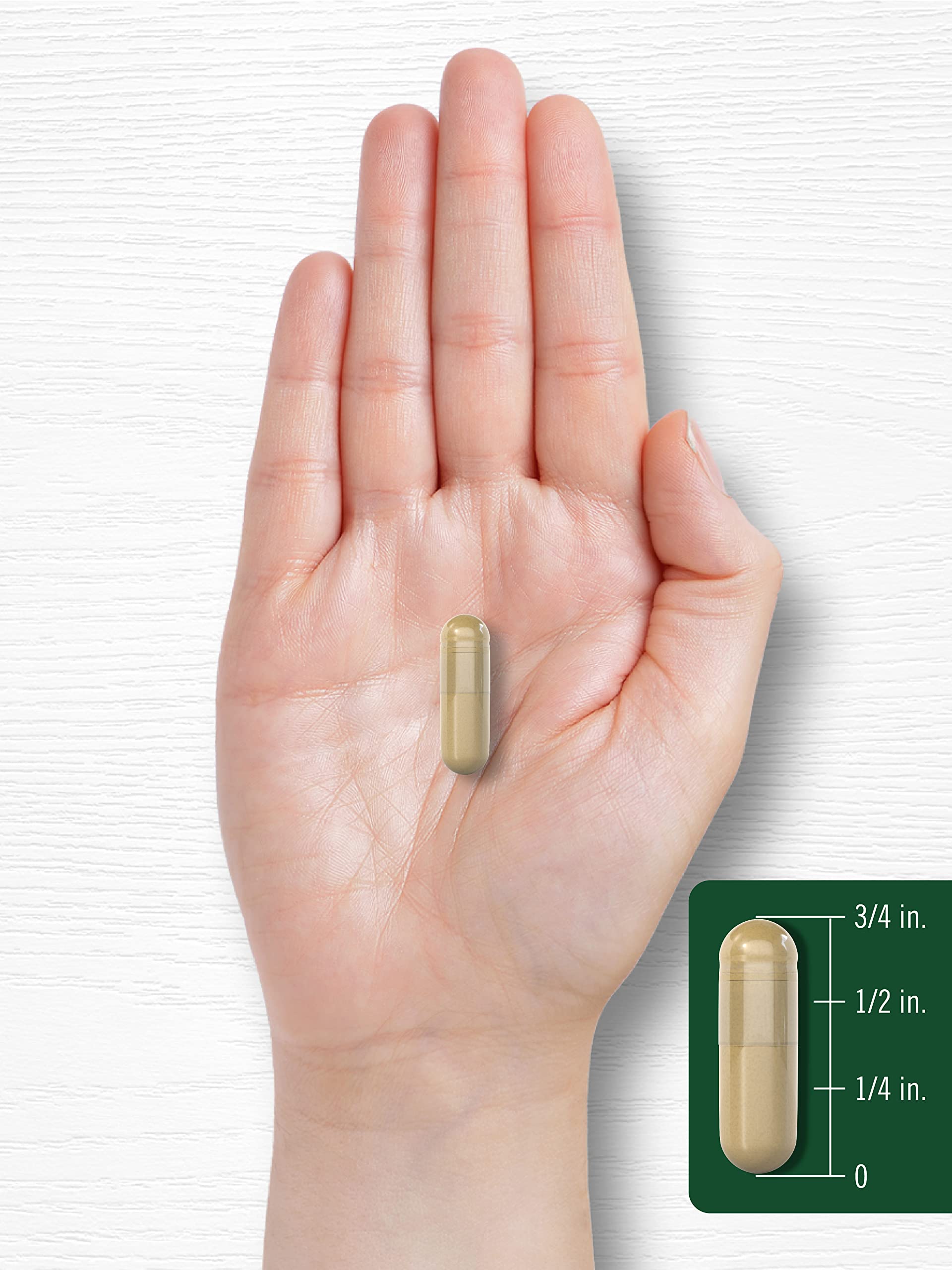 Carlyle Yucca Root Supplement 1000mg | 120 Capsules | Non-GMO, Gluten Free Extract | Supports Joint Health & Digestion | for Active Lifestyles & Wellness Routines