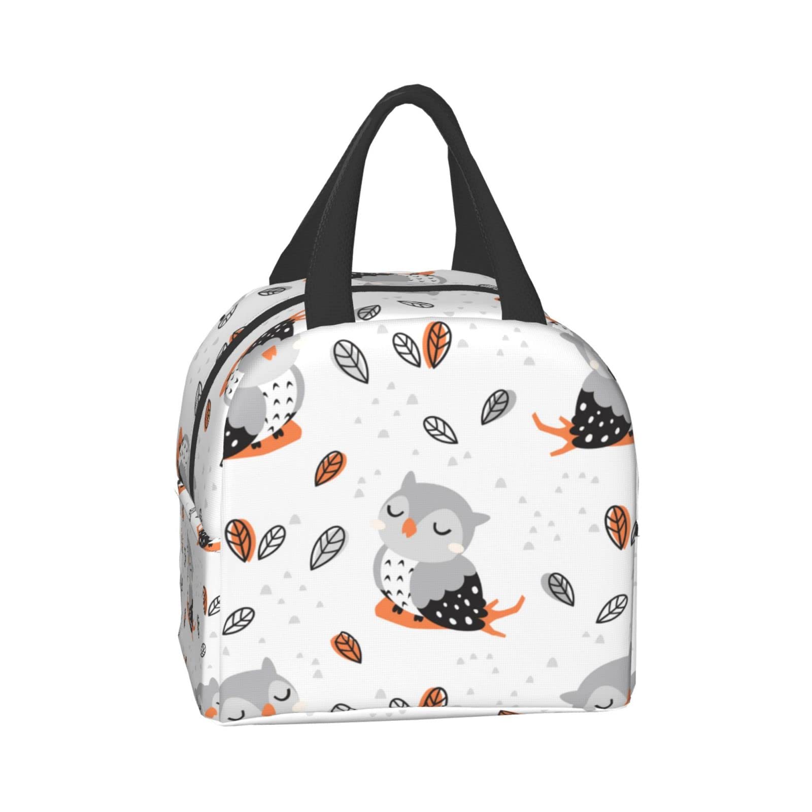 Insulated Owl Lunch Box for Women & Men - Reusable Thermal Lunch Bag for Office, School, Camping, Hiking, Picnic, Beach & Travel - Cute Animal Design Lunch Tote
