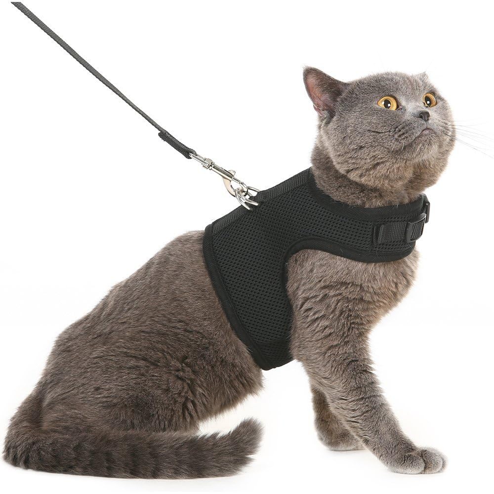 PUPTECK Soft Mesh Cat & Small Dog Harness with Leash - Escape Proof Padded Vest for Puppies, Rabbits, Bunnies - Black Large Size - Perfect for Outdoor Walks, Vet Visits & Travel Adventures