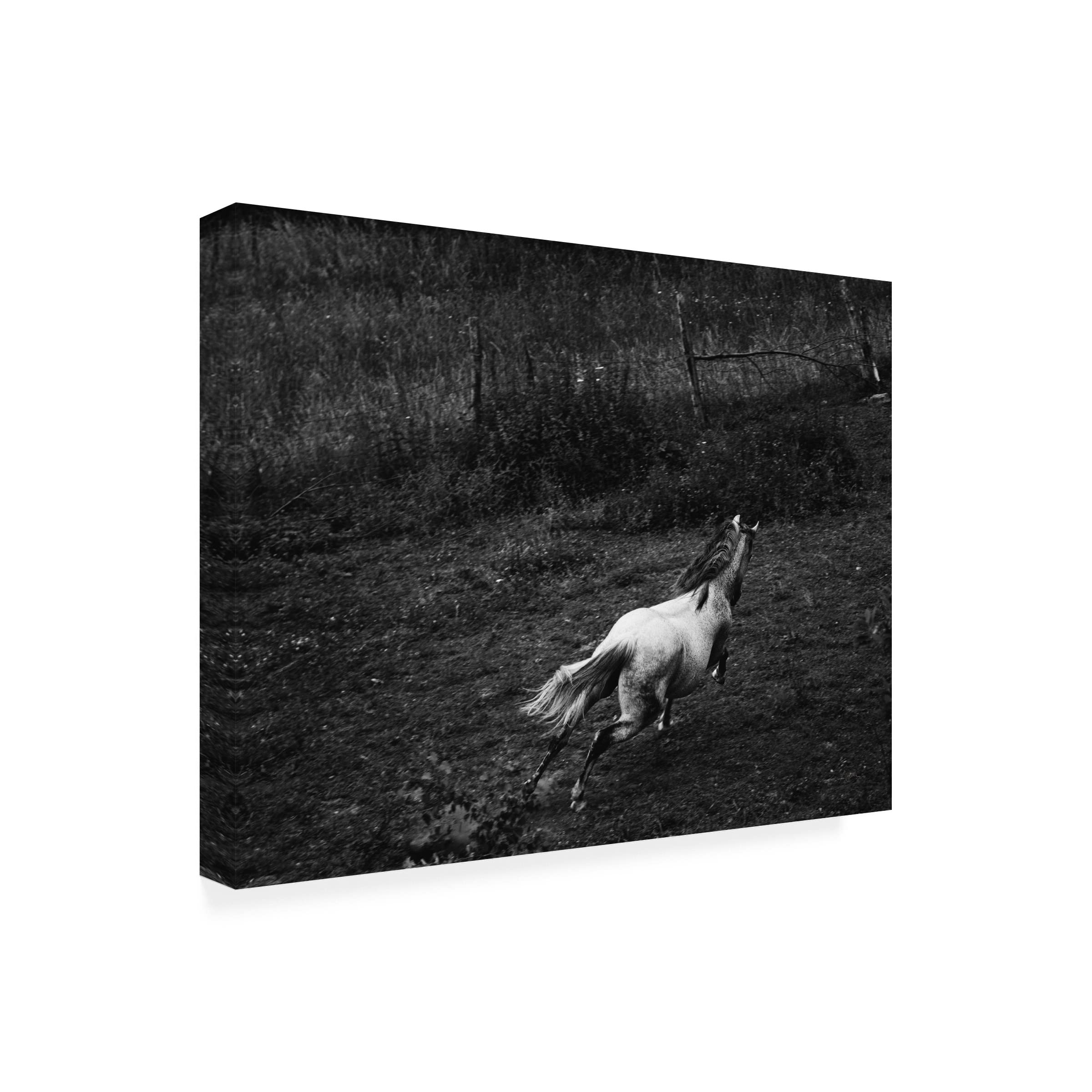 Trademark Fine Art 'Running Horse' Canvas Wall Art by Aledanda - Elegant Home Decor for Living Room, Office & Bedroom