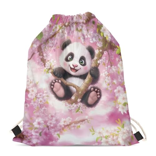 Panda Cherry Blossom