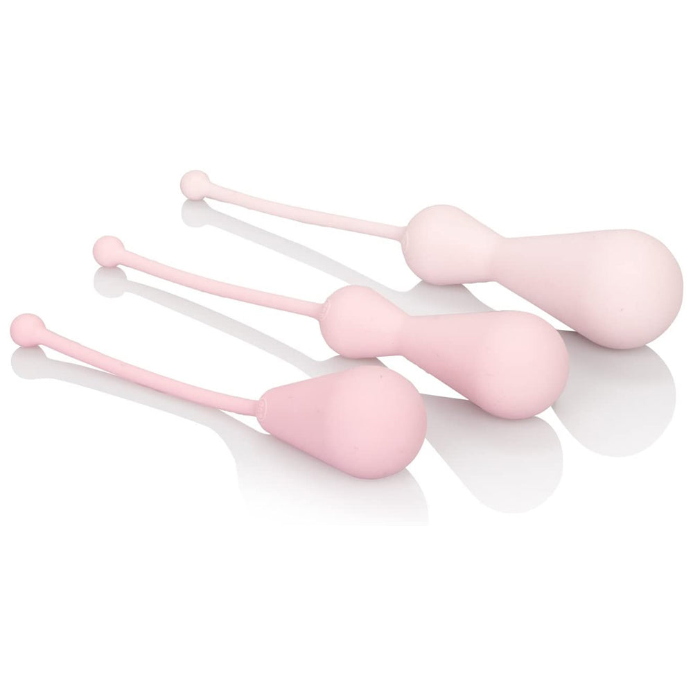Inspire Weighted Silicone Kegel Exercise Set for Women - Pelvic Floor Trainer for Postpartum Recovery & Bladder Control - Home Workout & Intimate Wellness Kit