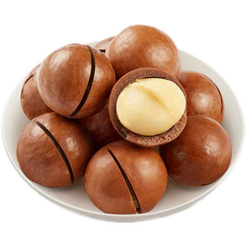 Premium Creamy Macadamia Nuts with Opening Tool - Hawaiian Nuts (8.8oz) for Chinese New Year Gifts, Party Snacks & Healthy On-the-Go Treats