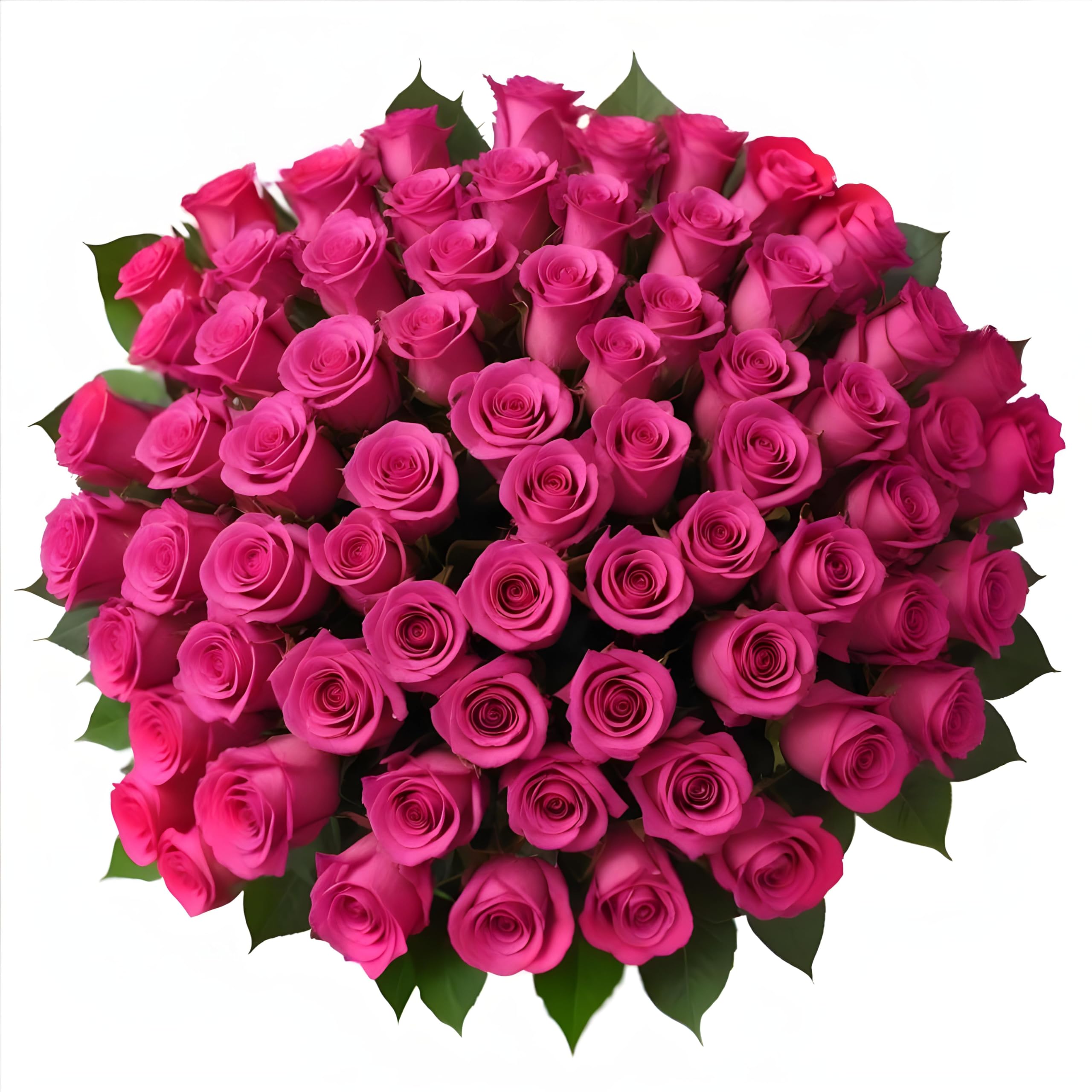 100 Fresh Hot Pink Roses - Premium Arabella Bouquet for Delivery | Birthday, Anniversary, Mother's Day Gift for Women | Perfect for Weddings, Home Decor & Romantic Surprises