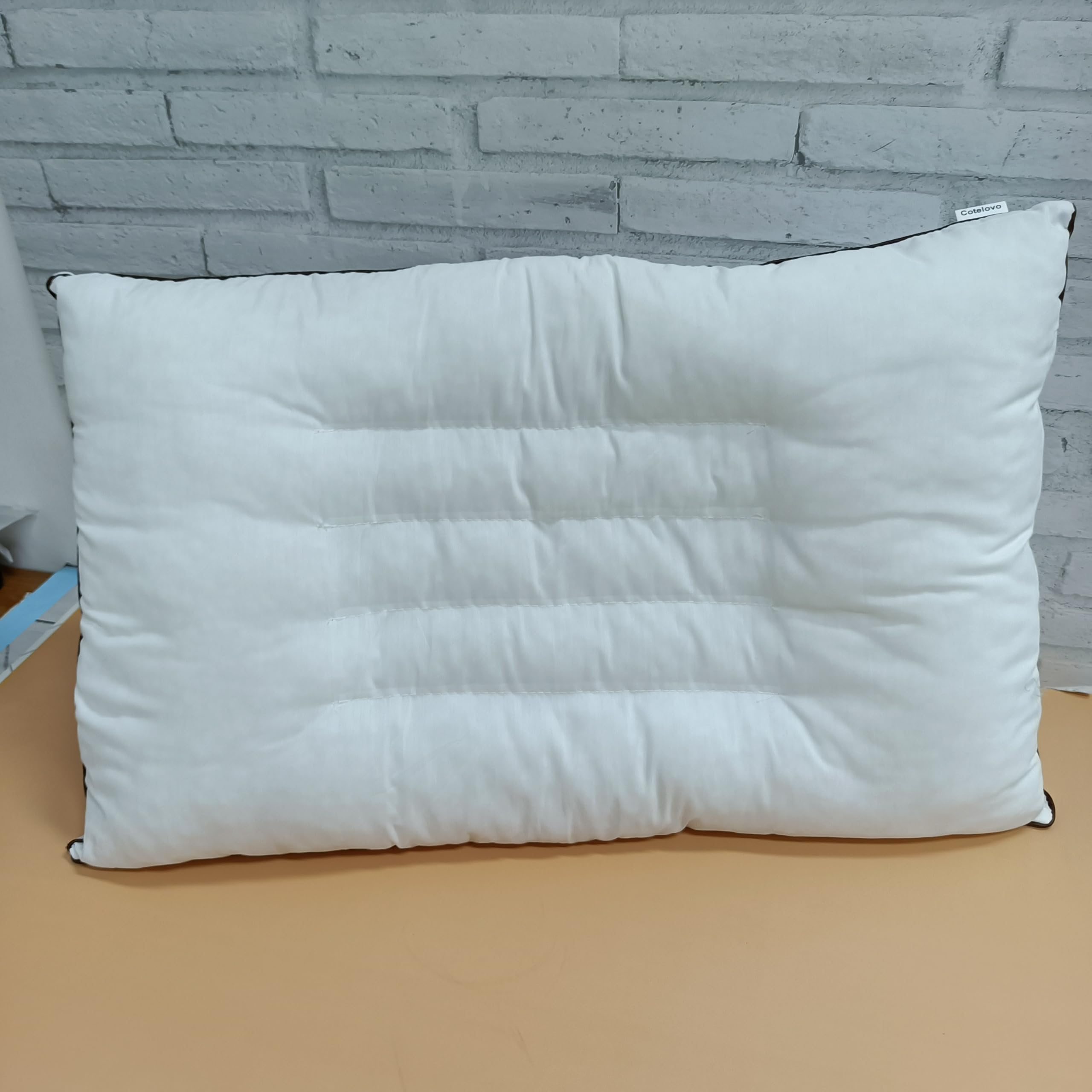 Ultra Thin Flat Pillow 2.5 Inch for Side Sleepers - Slim Low Profile Pillow with High Support - Perfect for Back Pain Relief & Travel Use