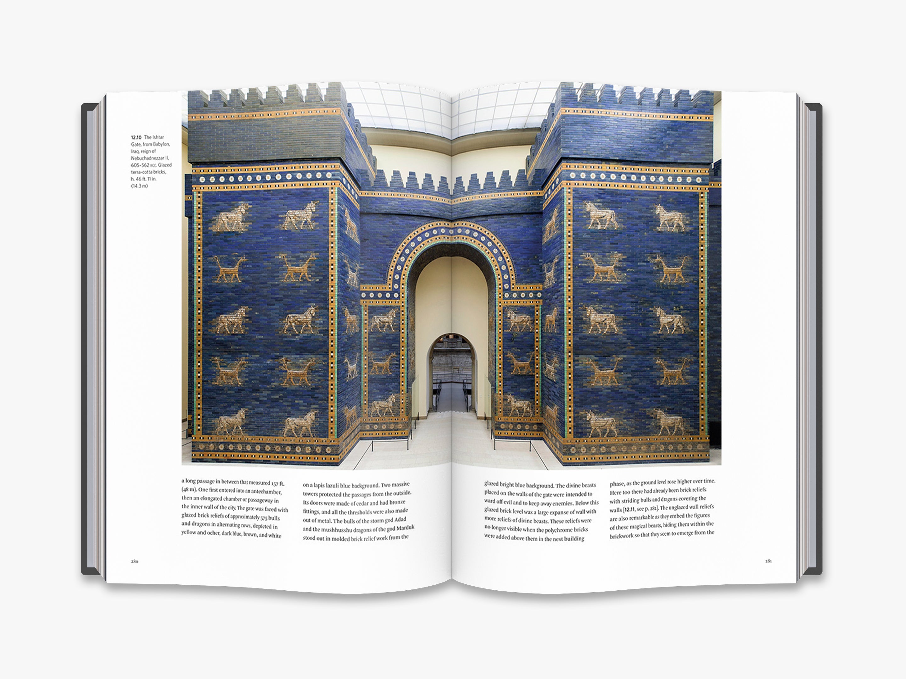 Mesopotamia Ancient History Books & Artifacts - Explore Sumerian, Babylonian, Akkadian Civilizations | Perfect for History Buffs, Classroom Learning & Cultural Decor