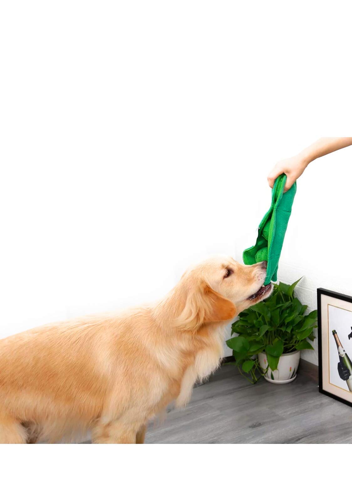 Interactive Plush Pet Toys for IQ Training - Fun & Engaging Dog & Cat Chew Toys for Mental Stimulation - Perfect for Playtime, Training & Bonding with Your Pet
