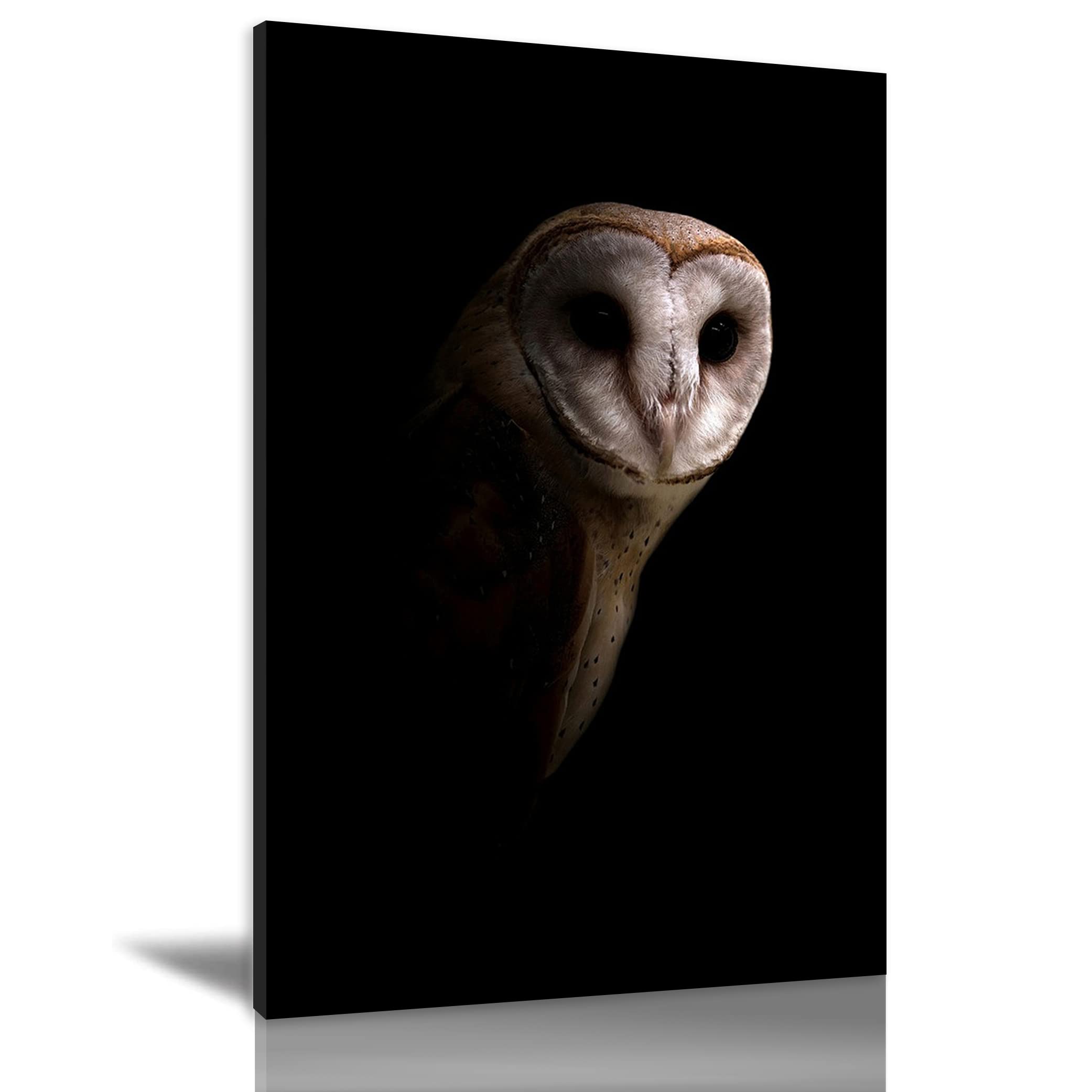Owl in the Dark Canvas Wall Art - 20x30 Inch Framed Bird Painting, Ready to Hang Home Decor for Living Room, Bedroom & Office | Modern Oil Print Artwork for Nature Lovers & Home Styling