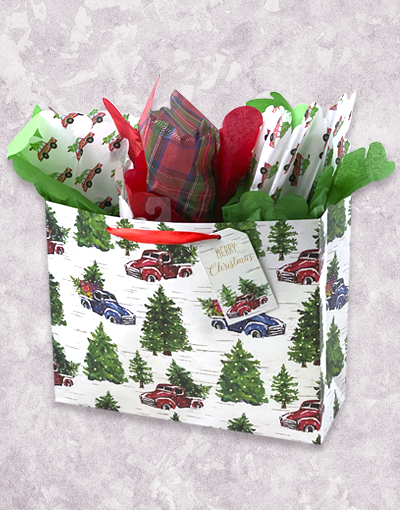 Festive Christmas Gift Bags - Holiday Party Favor Bags, Present Wrapping & Decorative Packaging for Xmas Celebrations, Office Gifts, and Family Gatherings