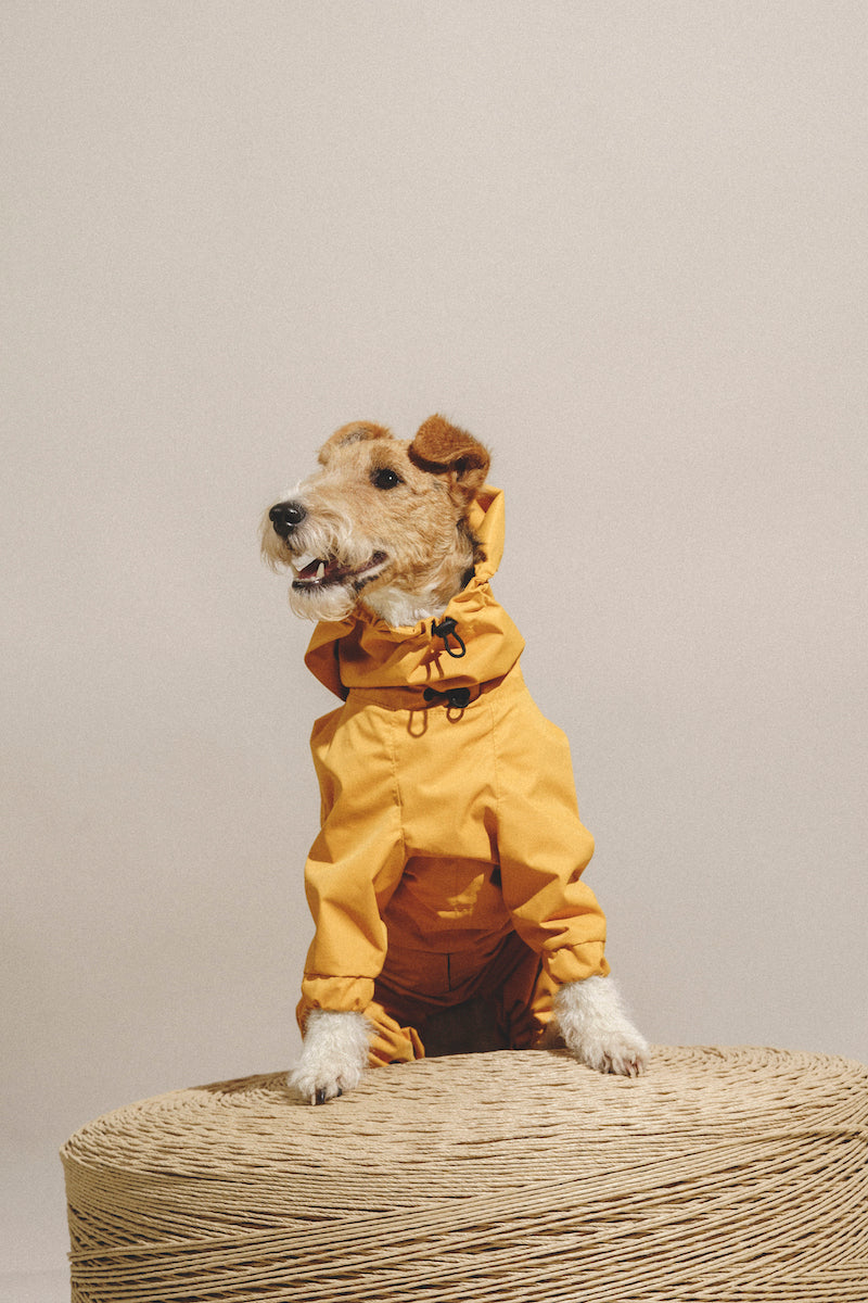 Adorable Yellow Pony Jumpsuit for Kids - Soft & Comfortable Baby Romper for Playtime, Birthday Parties & Photo Shoots
