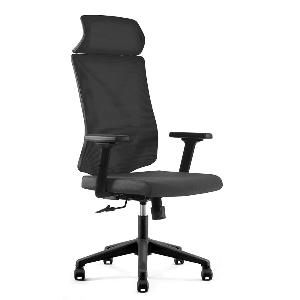 Premium FRODE Executive Office Chair with Adjustable Headrest - Ergonomic High Back Desk Chair for Home & Office - Black - Ideal for Long Hours of Work & Gaming