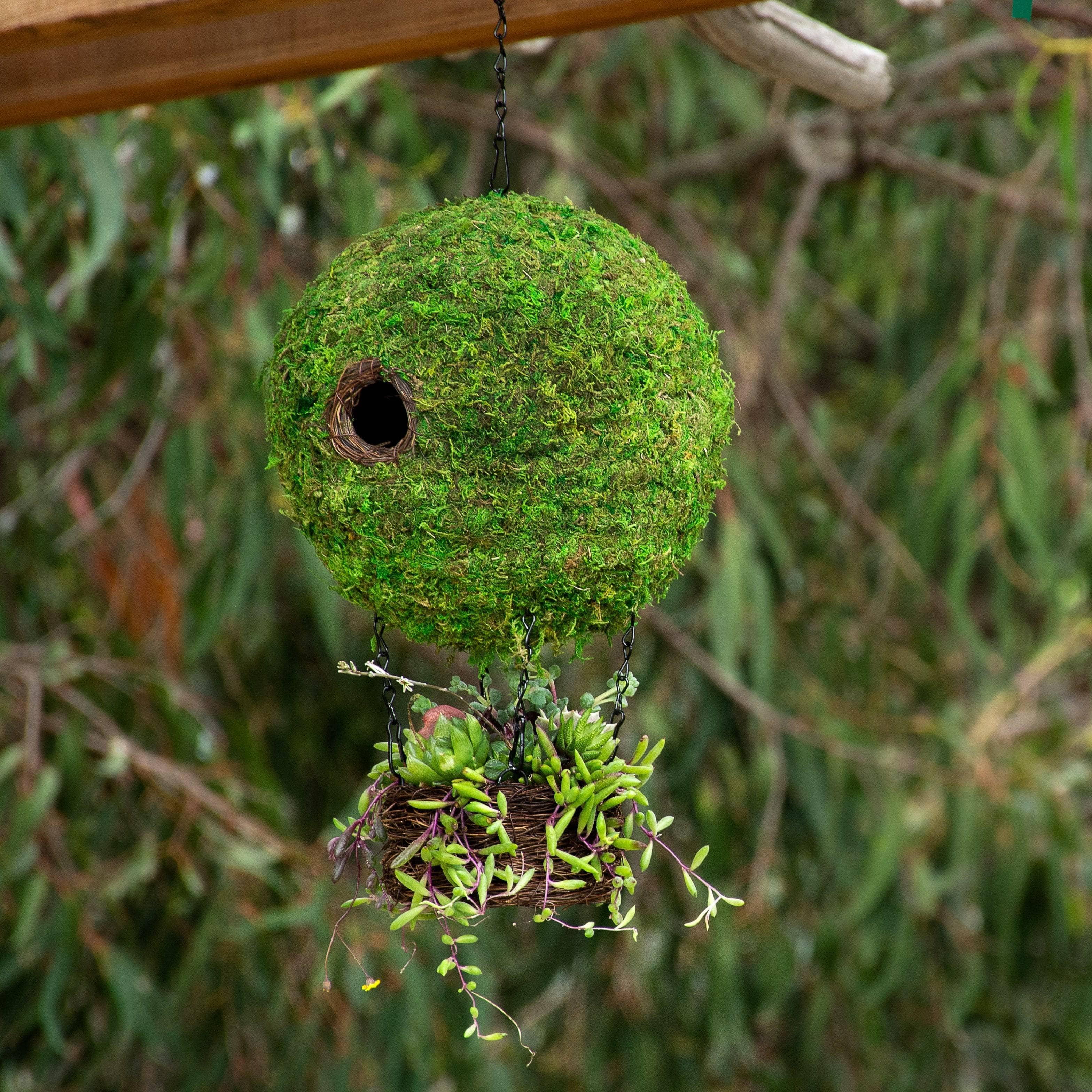 Handmade Air Balloon Moss Birdhouse - Natural Decorative Garden Bird Feeder for Outdoor & Patio Decor | Attracts Wild Birds - Perfect for Backyard, Balcony, and Garden Use