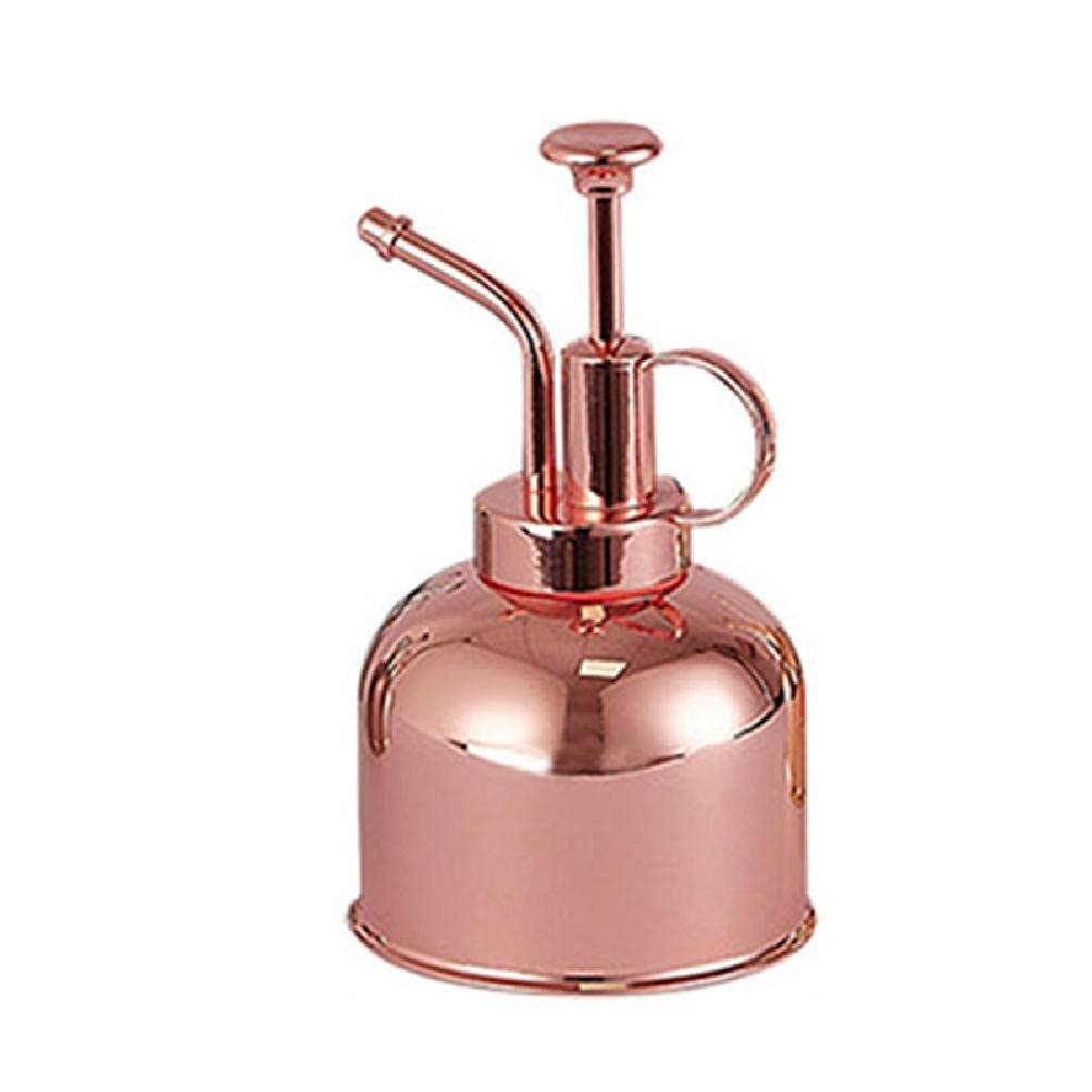 10oz/300ml Stainless Steel Mini Watering Can - Indoor Plant Spray Bottle for Flowers, Gardening Tool with Fine Mist Nozzle | Perfect for Houseplants, Succulents, Herbs & Garden Care
