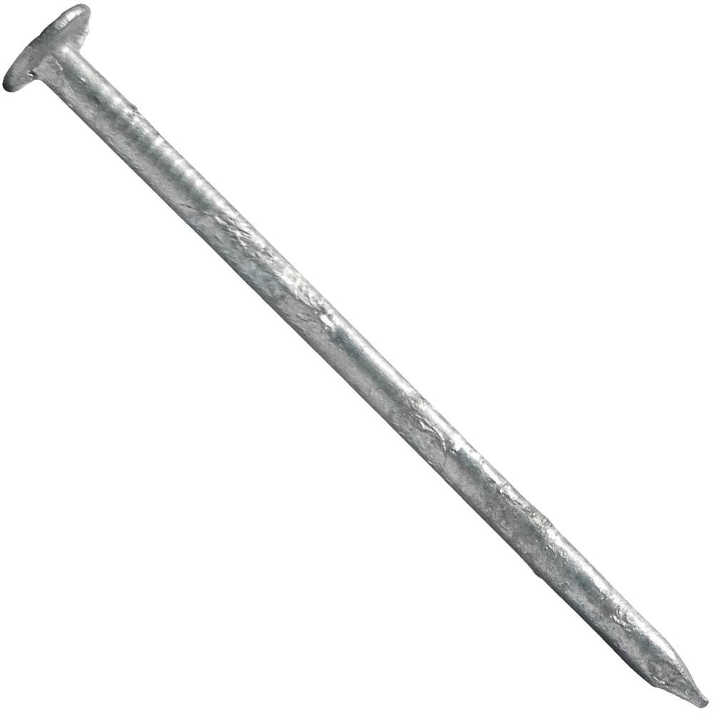 Stainless Steel Siding Nails for Exterior Trim & Vinyl Siding Installation - Weather-Resistant Roofing & Construction Nails for Outdoor Use