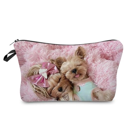 Shih Tzu 02