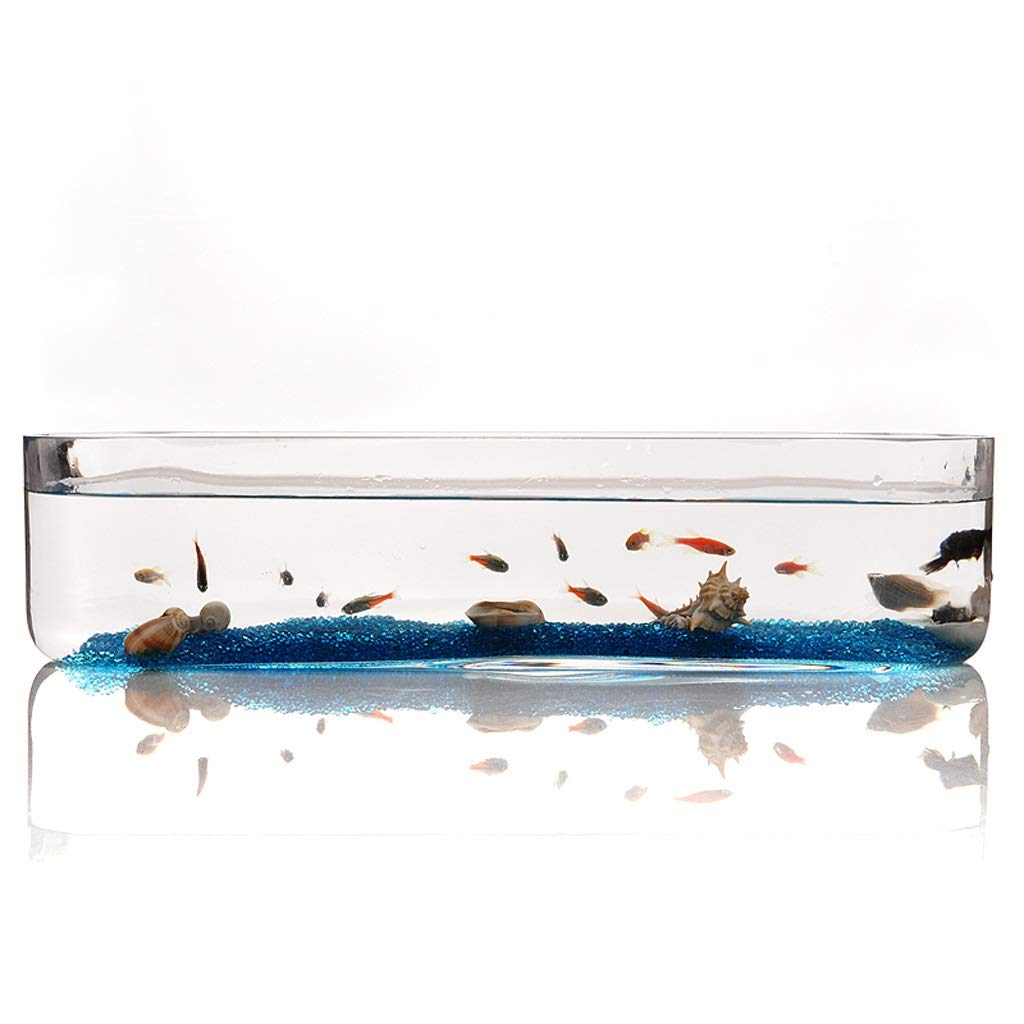 XIANGGUI 1983 Creative Glass Rectangular Fish Tank - Small Desktop Aquarium for Home, Office, Living Room Decor | Ideal for Betta Fish, Goldfish, Shrimp & Aquatic Plants | Perfect Gift for Fish Lovers