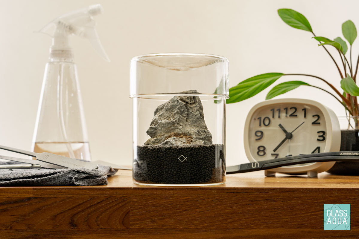 Miniature Terrarium Kit - DIY Glass Garden with Succulents & Moss for Home Decor, Office Desk, or Gift Idea | Creative Indoor Gardening Project for Beginners
