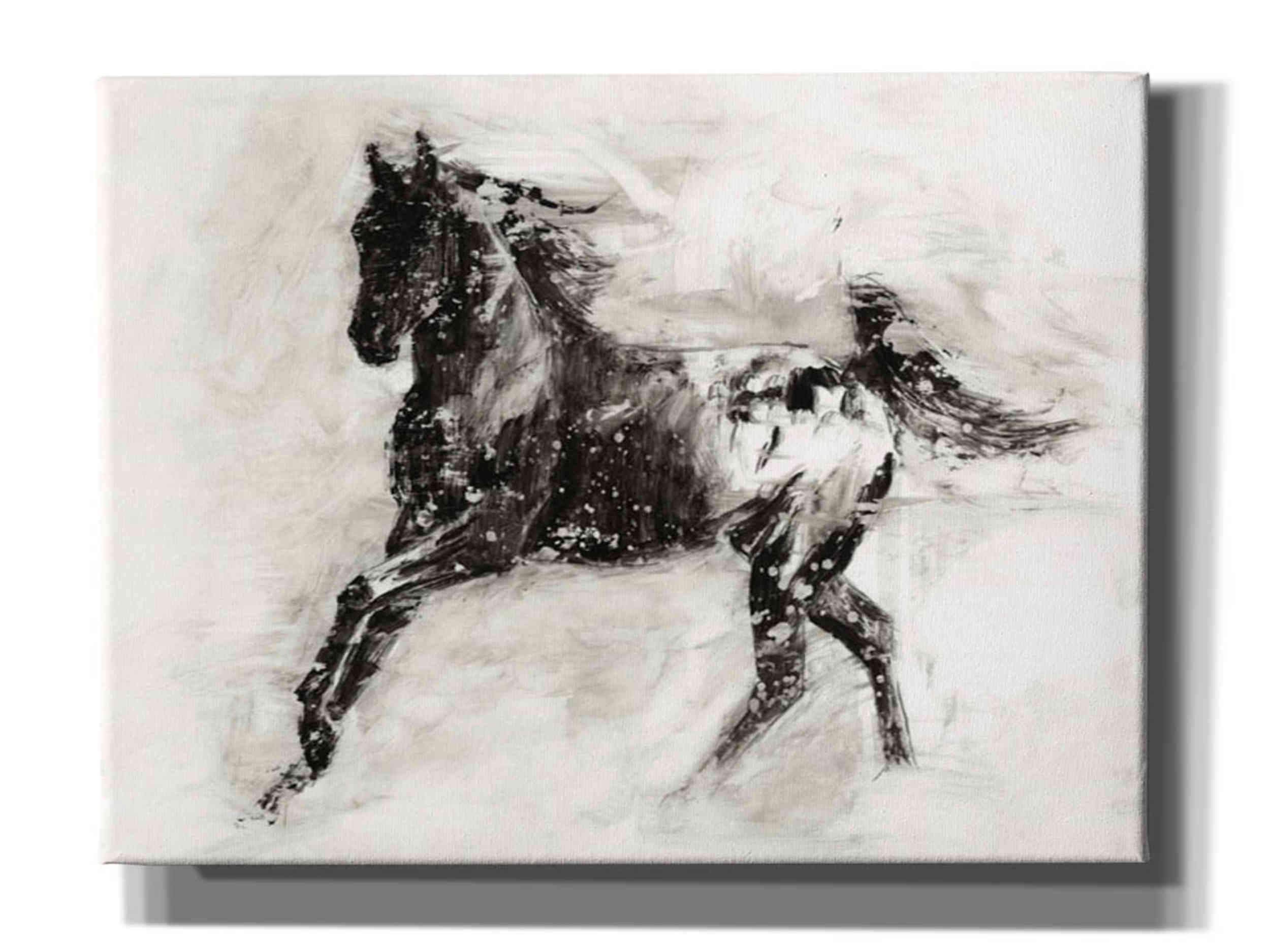 Rustic Appaloosa II by Ethan Harper - 34x26 Inch Western Horse Canvas Wall Art for Living Room, Bedroom & Office Decor