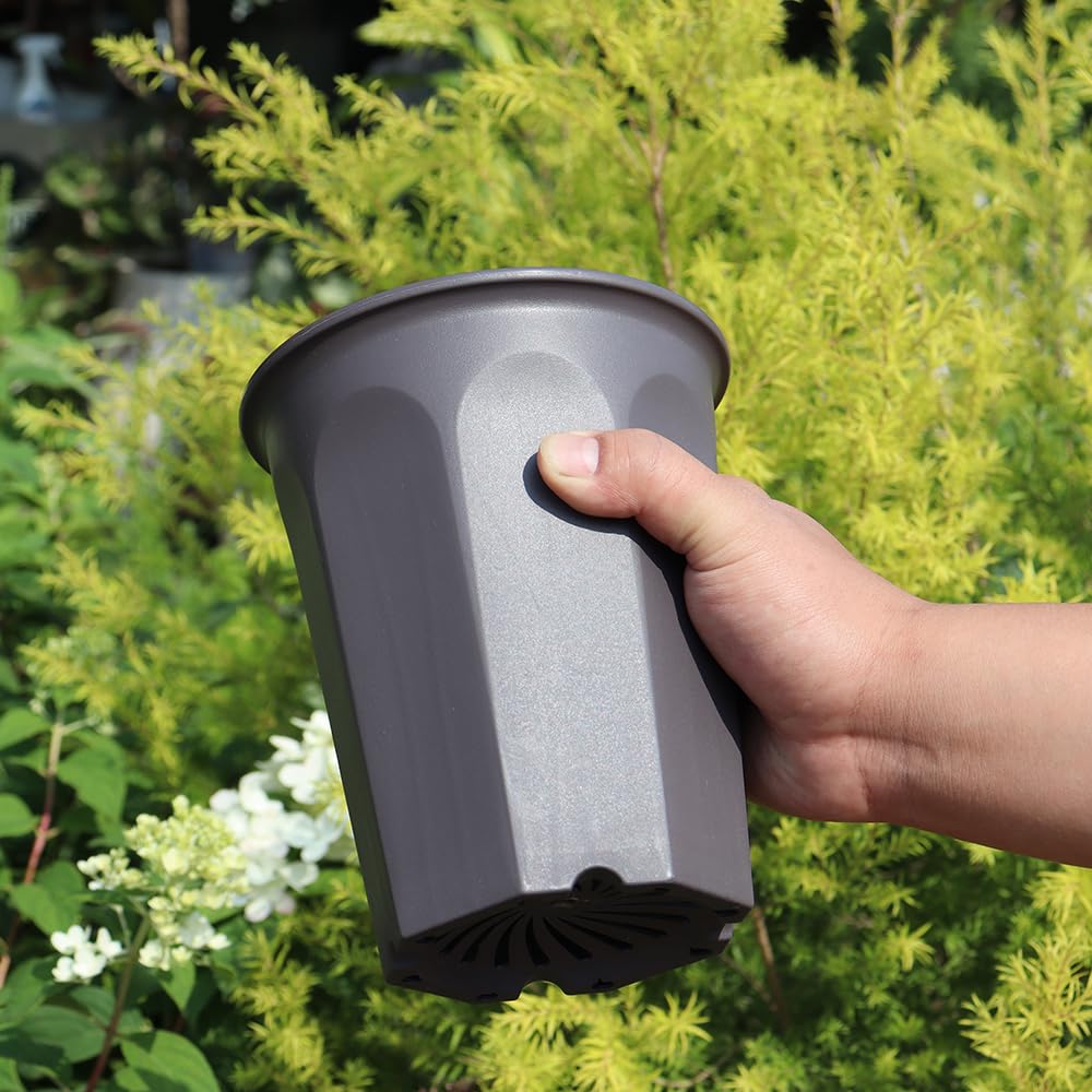 BangQiao 8 Pack 6.10 Inch Plastic Deep Nursery Pots - Round Seed Starter Planters for Seedlings & Transplanting (Gray) - Ideal for Indoor Gardening, Greenhouses & Home Plant Propagation