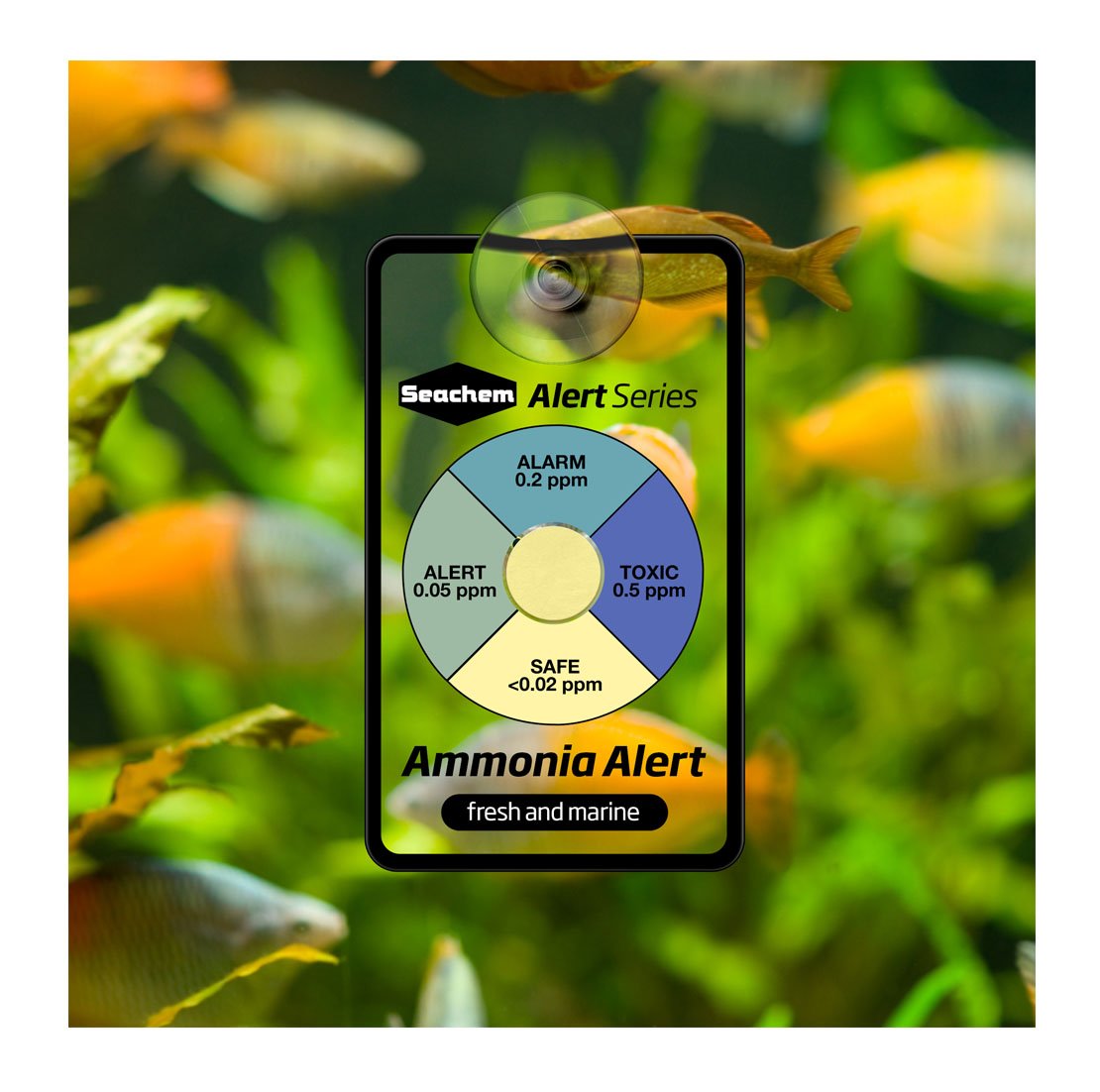 Seachem Ammonia Alert - Freshwater & Saltwater Aquarium Ammonia Detector - Continuous Monitoring for Fish Tank, Pond, and Aquatic Pets - Ideal for Home, Office, and Classroom Aquariums