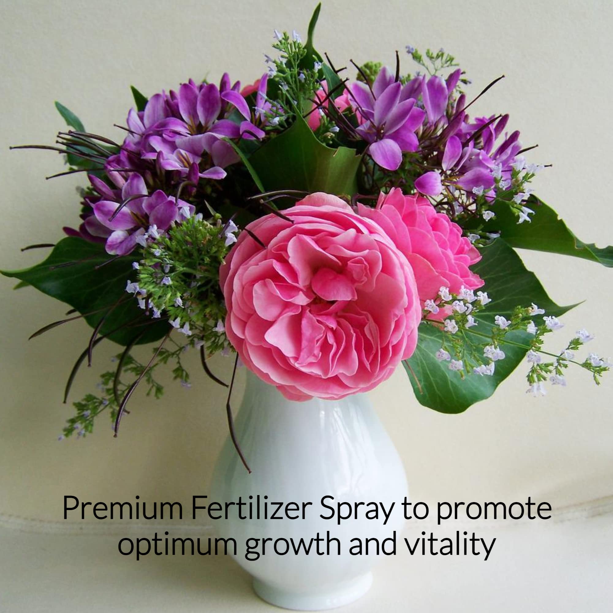 Professional Cut Flower Spray Fertilizer Mist - Pre-Mixed Weekly Plant Food for Fresh Flowers | Gentle Formula for Bouquets, Vases & Floral Arrangements | 8 oz Bottle | Extends Bloom Life for Roses, Tulips & Wedding Flowers