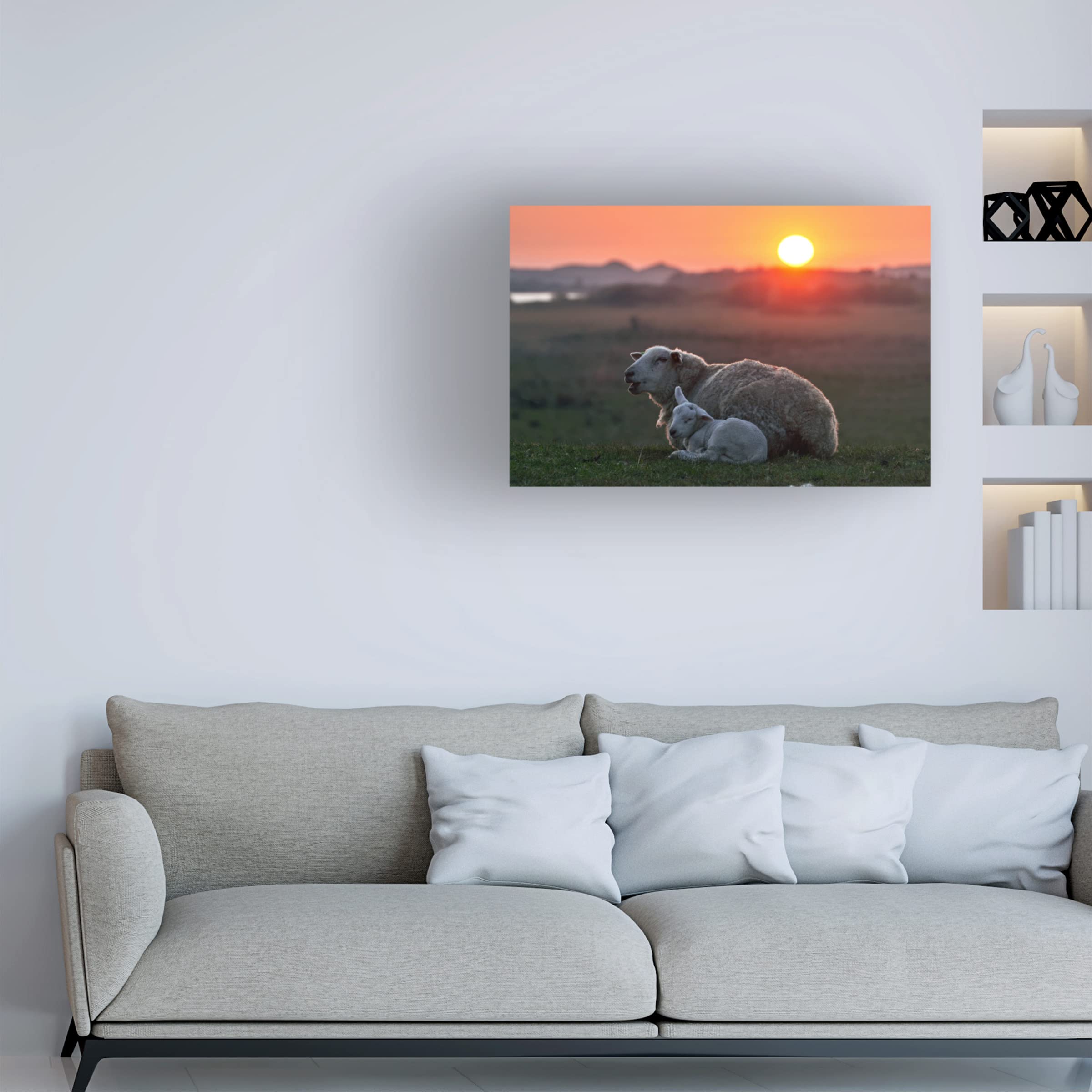 Trademark Fine Art 'Sleep Well Sheep' Canvas Wall Art by Bodo Balzer - Perfect for Nursery, Bedroom & Home Decor