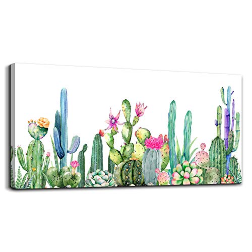 Beautiful Cactus