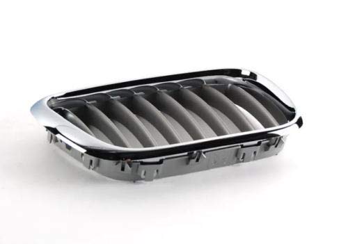 Genuine BMW Front Right Grill/Grille Replacement for X5 3.0i 4.4i 4.6is Models - Perfect Fit & OEM Quality for Enhanced Vehicle Appearance & Protection