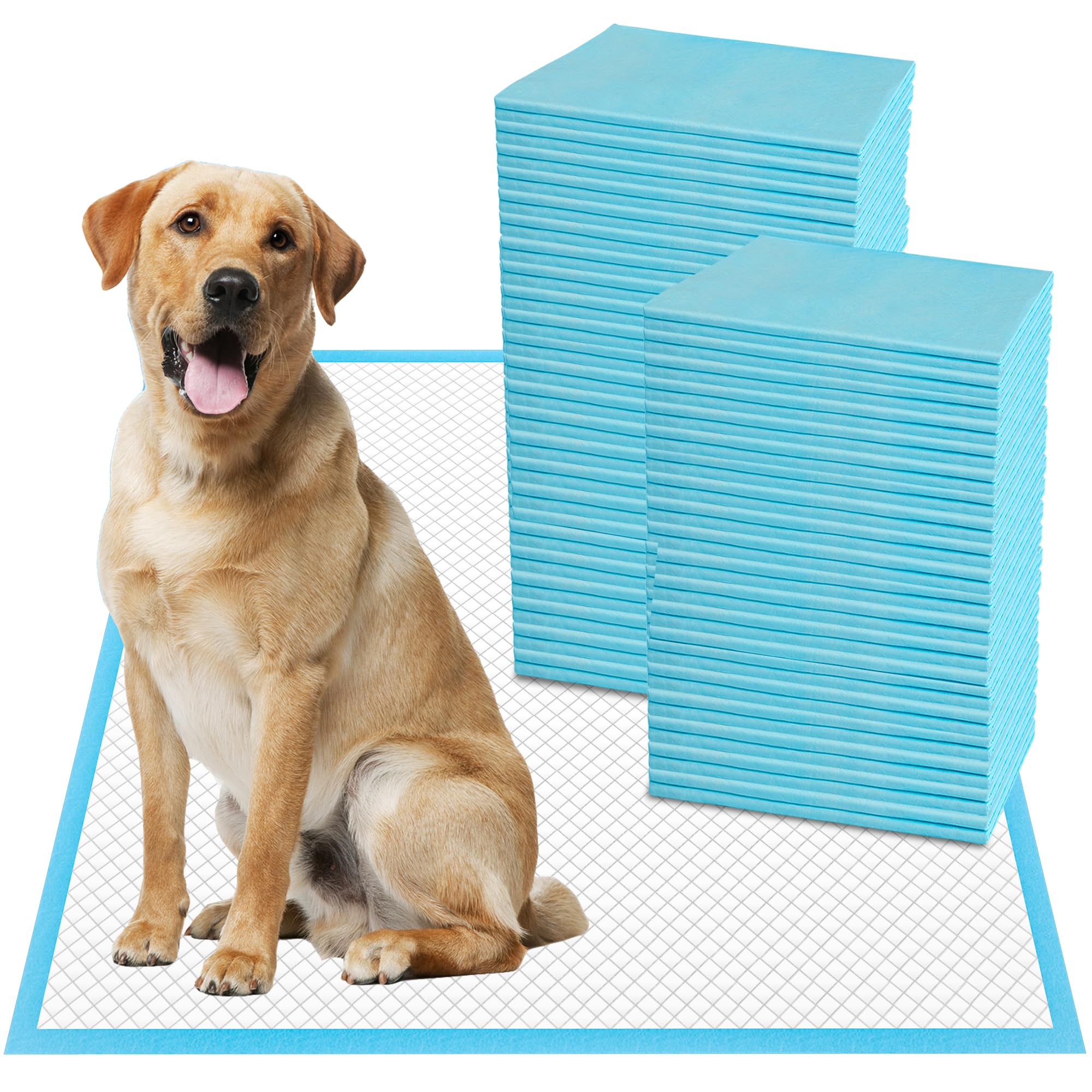 Boscute XXL Thick 6-Layer Heavy Absorbent 30