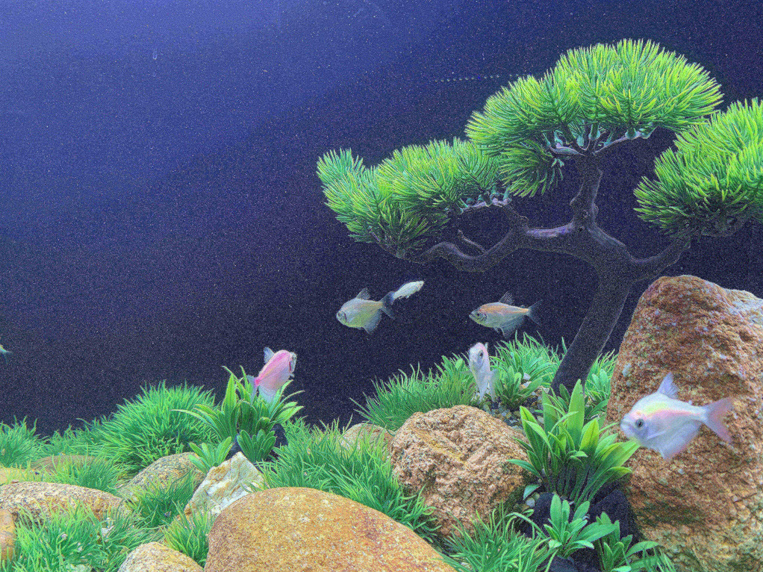 BEGONDIS 25Pcs Artificial Aquarium Plants - Safe Soft Plastic Fish Tank Decor for All Fish & Pets - Perfect for Aquatic Landscape Design