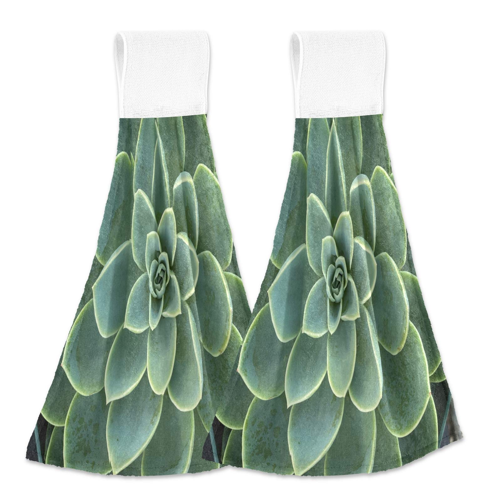 KEEPREAL Succulent Kitchen Towels Set of 2 - 12x17 Inch Soft Absorbent Hand Towels & Dishcloths with Hanging Loop - Perfect for Bathroom, Kitchen Decor & Holiday Gifts