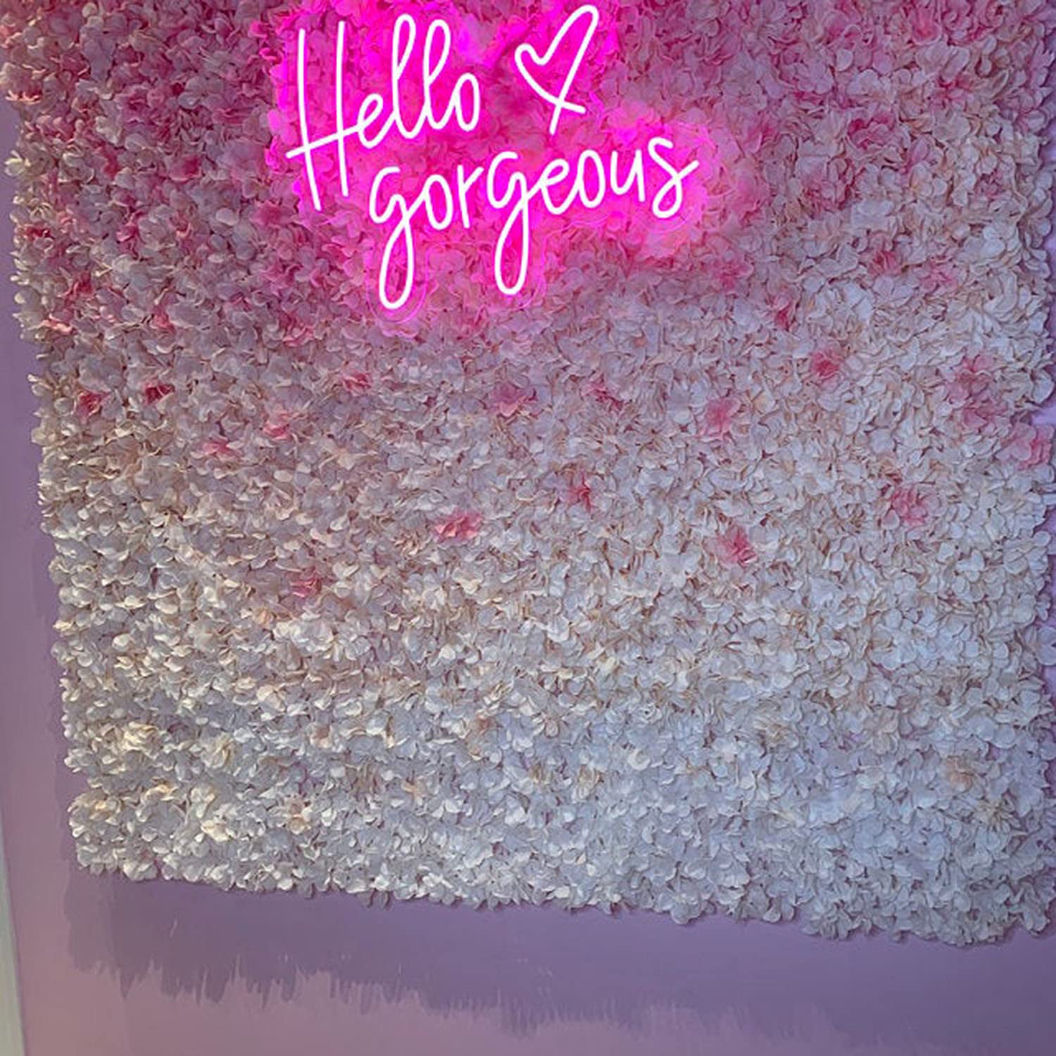 Hello Gorgeous Neon Sign Light - Custom Wall Art Decor for Home, Bar, Pub, Club & Party | Perfect Gift for Christmas, Birthday & Housewarming | Bedroom, Living Room, Office & Wedding Decoration