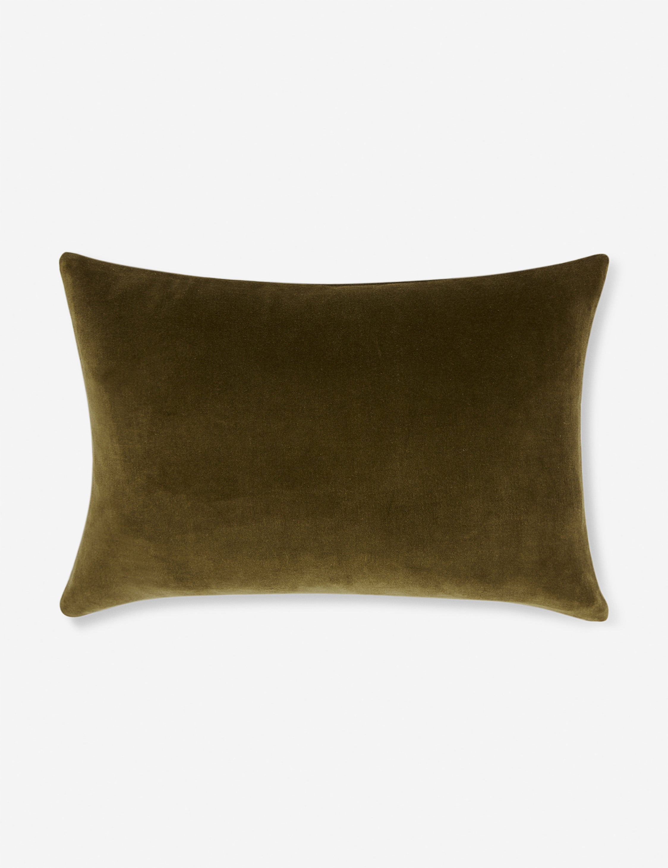Charlotte Velvet Pillow - Soft Luxury Decorative Throw Pillow for Sofa, Bed & Couch - Perfect for Living Room, Bedroom & Home Decor