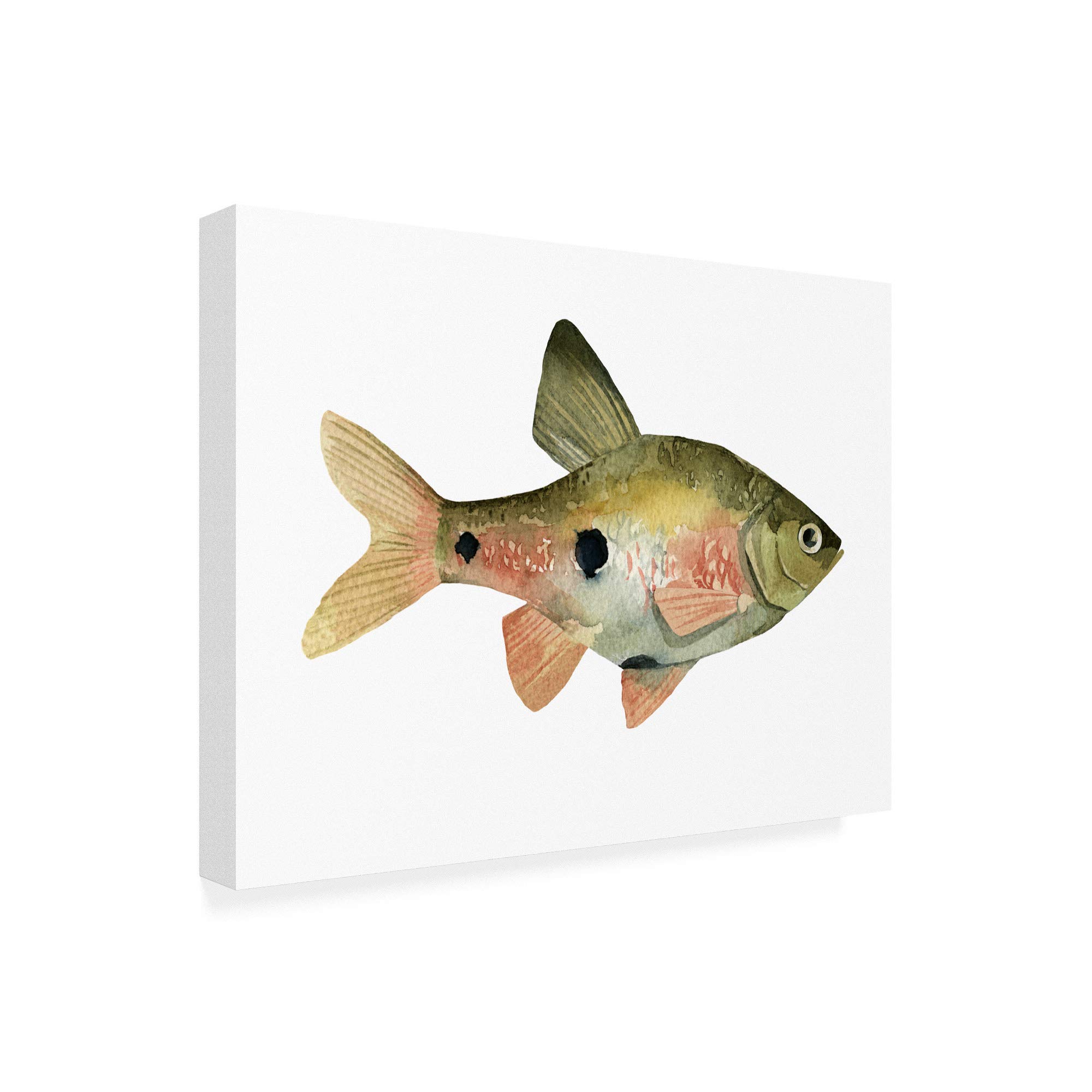 Trademark Fine Art - Emma Scarvey Rainbow Fish III Canvas Print 24x32 Inches - Vibrant Wall Decor for Living Room, Bedroom & Office