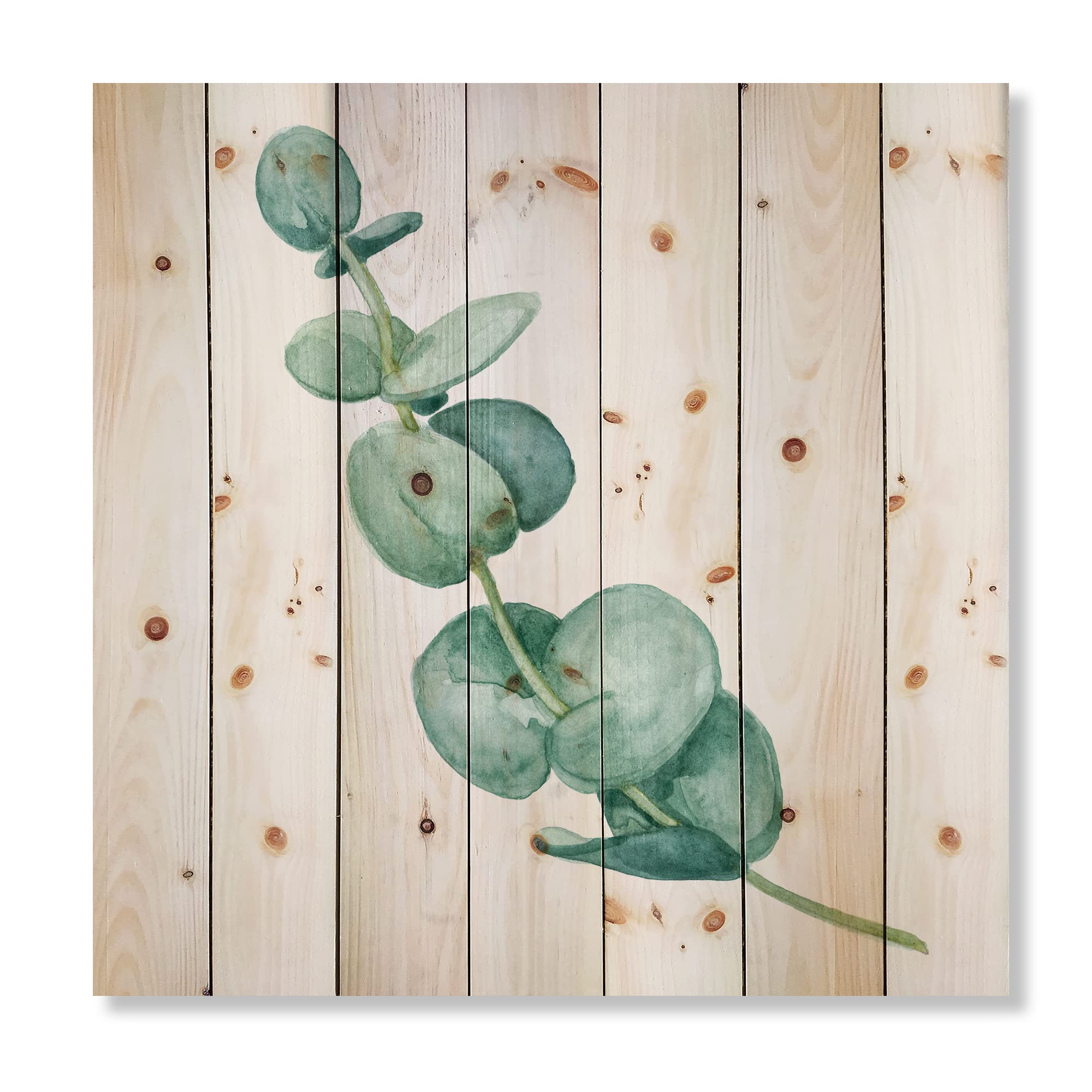 DesignQ Young Eucalyptus Leaves & Branches II - Traditional Wood Wall Decor | Large Floral Pine Wood Art Panel | Natural Green Botanical Print | Perfect for Living Room, Bedroom & Office Decor
