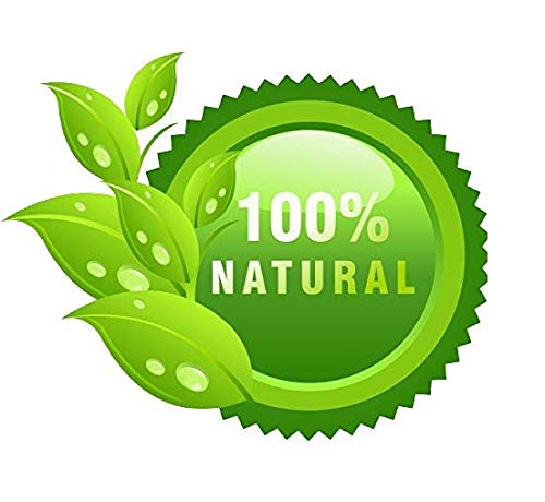 Khadi Shikakai & Honey Conditioner 210ml - SLS & Paraben Free, Pure Natural Herbal Ayurvedic Hair Care for Dry & Damaged Hair - Perfect for Daily Use & Scalp Nourishment