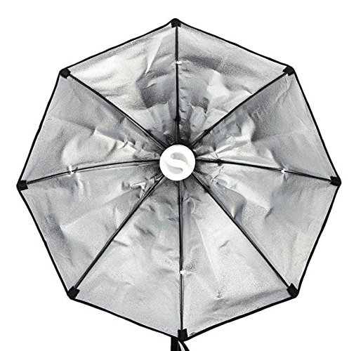 GOWE Professional Photography Lighting Kit - 5500K 135W Daylight Studio Bulb with Light Stand & Octagon Softbox for Portrait, Product, and YouTube Video Shooting