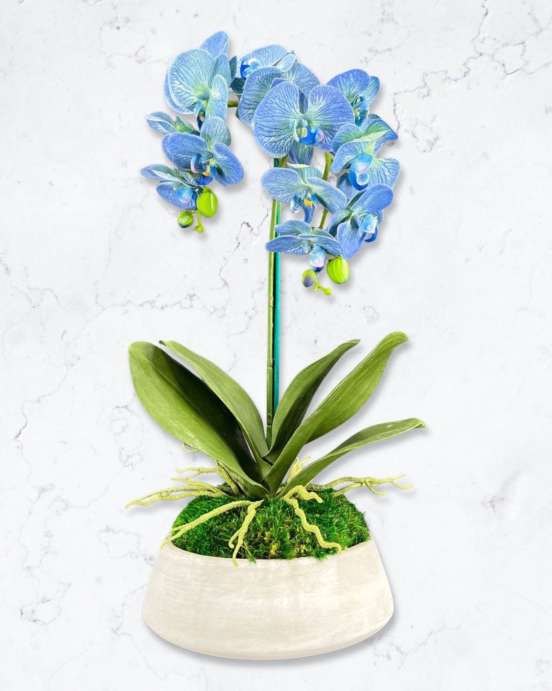 Elegant Orchid and Moss Floral Arrangement in Cement Bowl - Perfect for Wedding Centerpieces, Home Decor, and Tabletop Displays