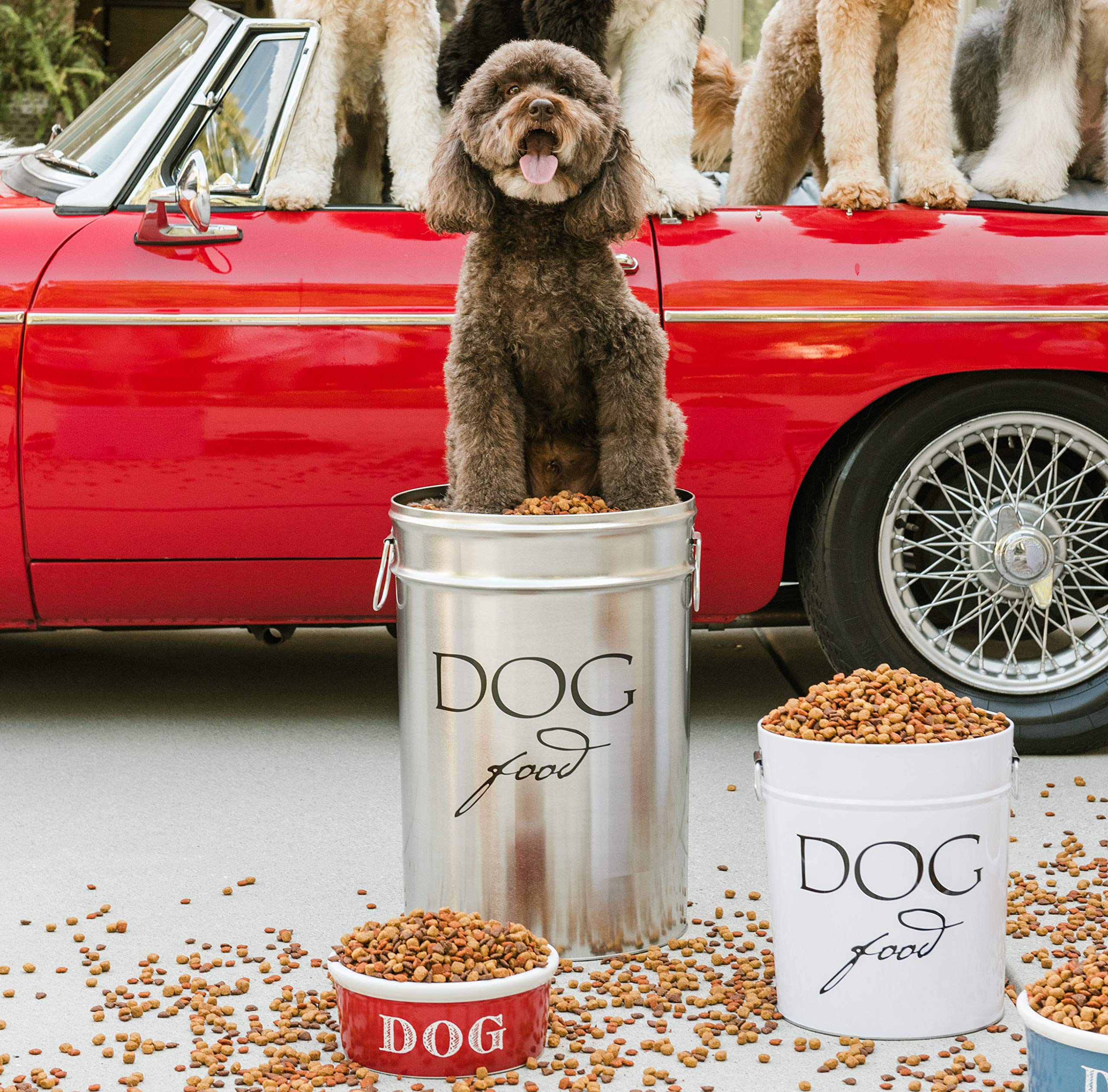 Harry Barker White Classic Dog Food Storage Canister - Airtight Pet Food Container for Small Breeds (Holds 10 lbs) - Perfect for Kitchen Pantry Organization & Fresh Kibble Preservation